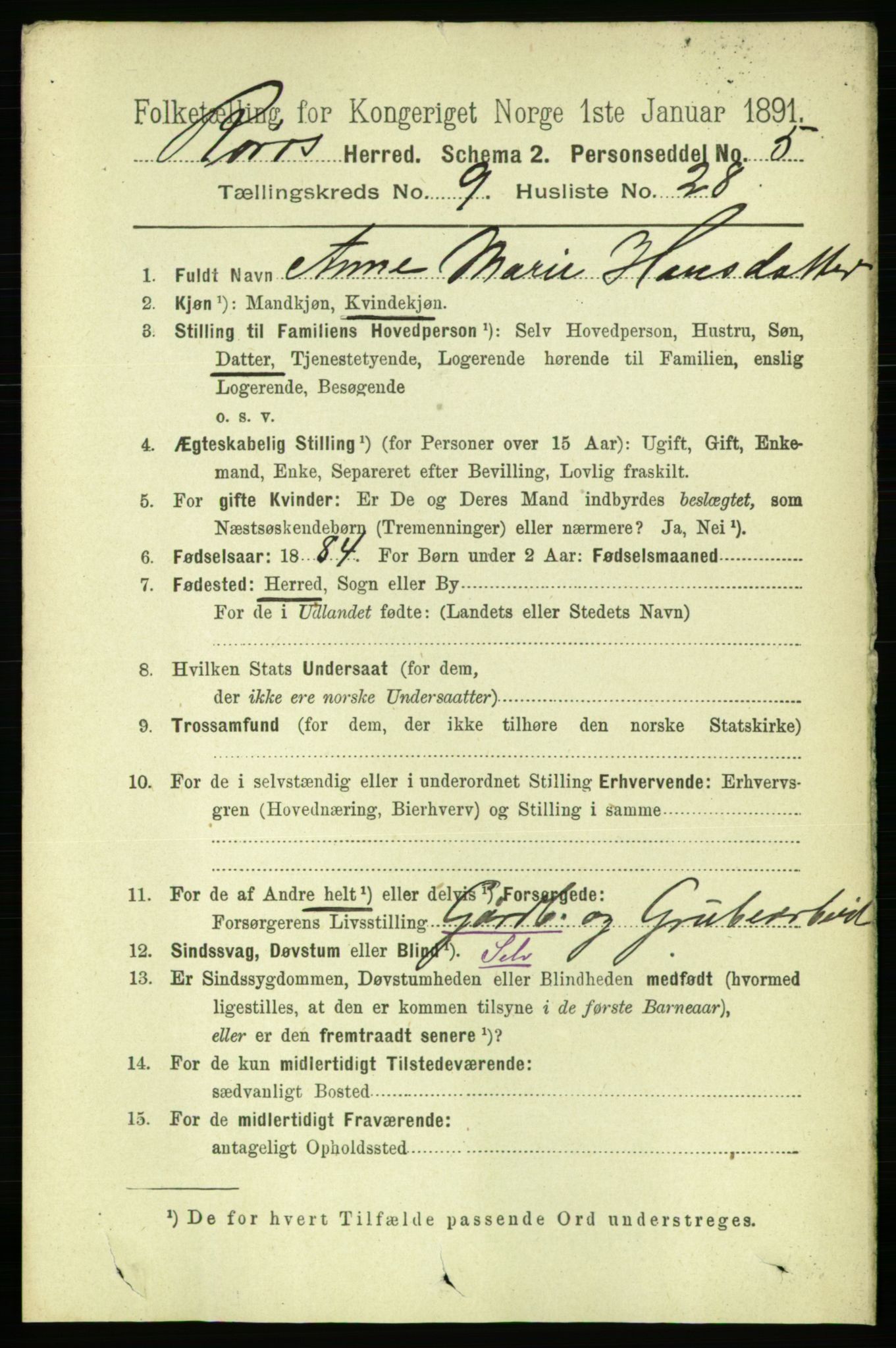 RA, 1891 census for 1640 Røros, 1891, p. 1970