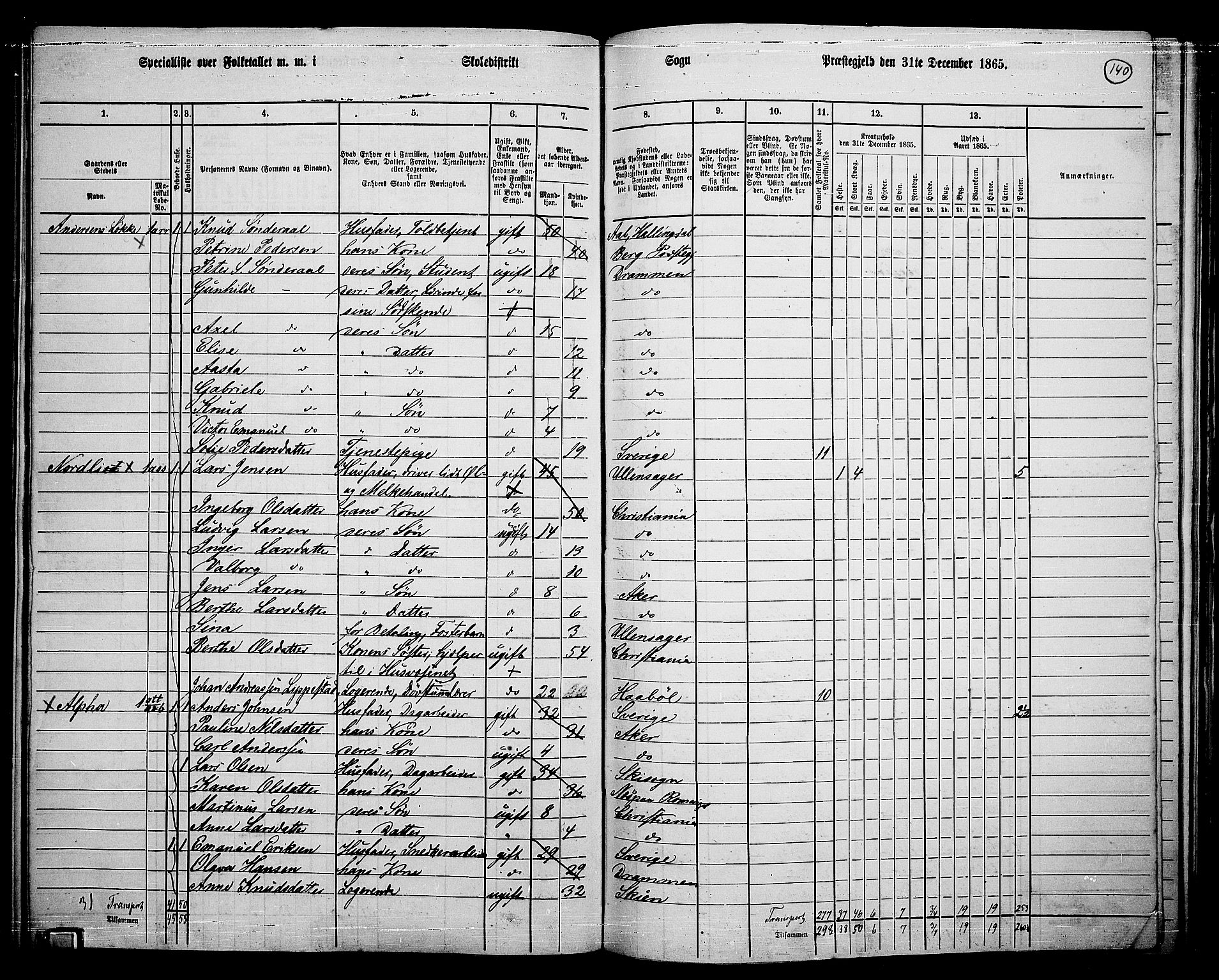 RA, 1865 census for Vestre Aker, 1865, p. 304