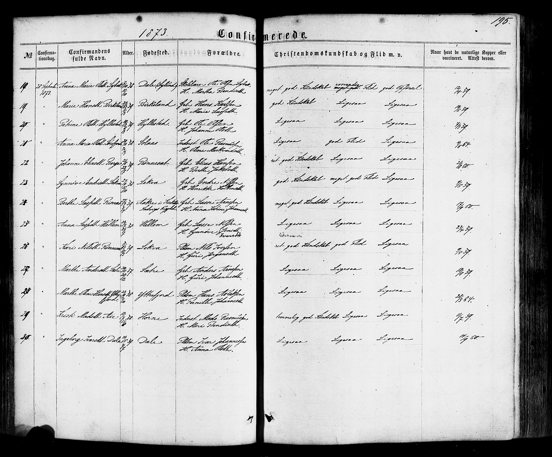 Hyllestad sokneprestembete, AV/SAB-A-80401: Parish register (official) no. A 1, 1861-1886, p. 195