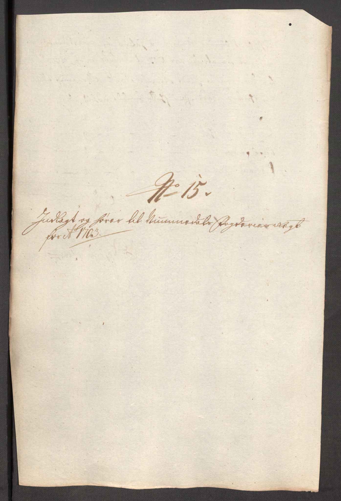 Rentekammeret inntil 1814, Reviderte regnskaper, Fogderegnskap, AV/RA-EA-4092/R64/L4428: Fogderegnskap Namdal, 1703-1704, p. 140