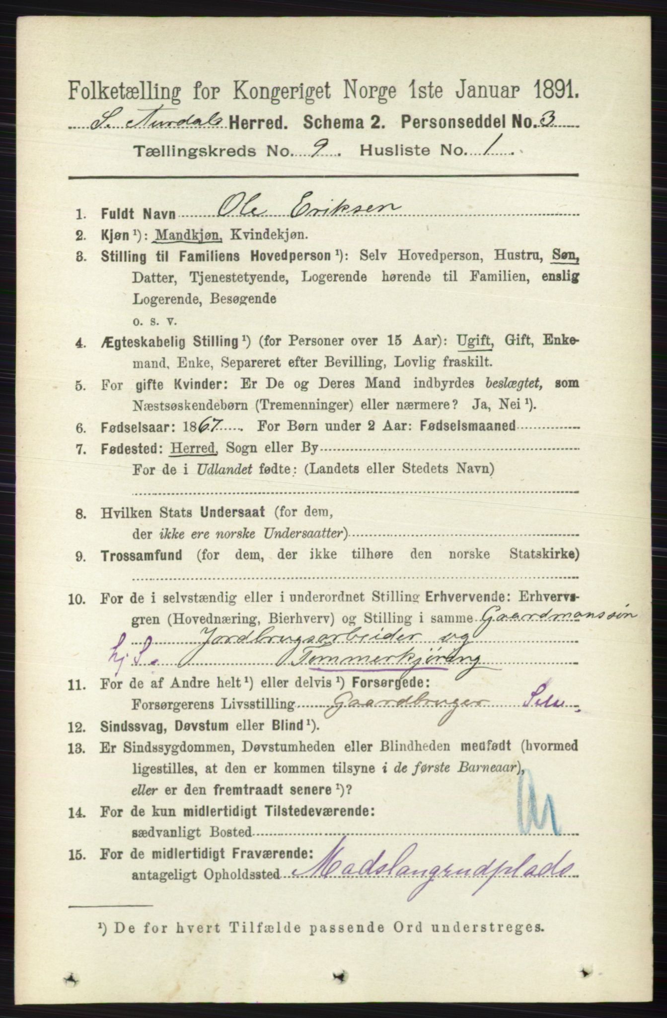 RA, 1891 census for 0540 Sør-Aurdal, 1891, p. 5540