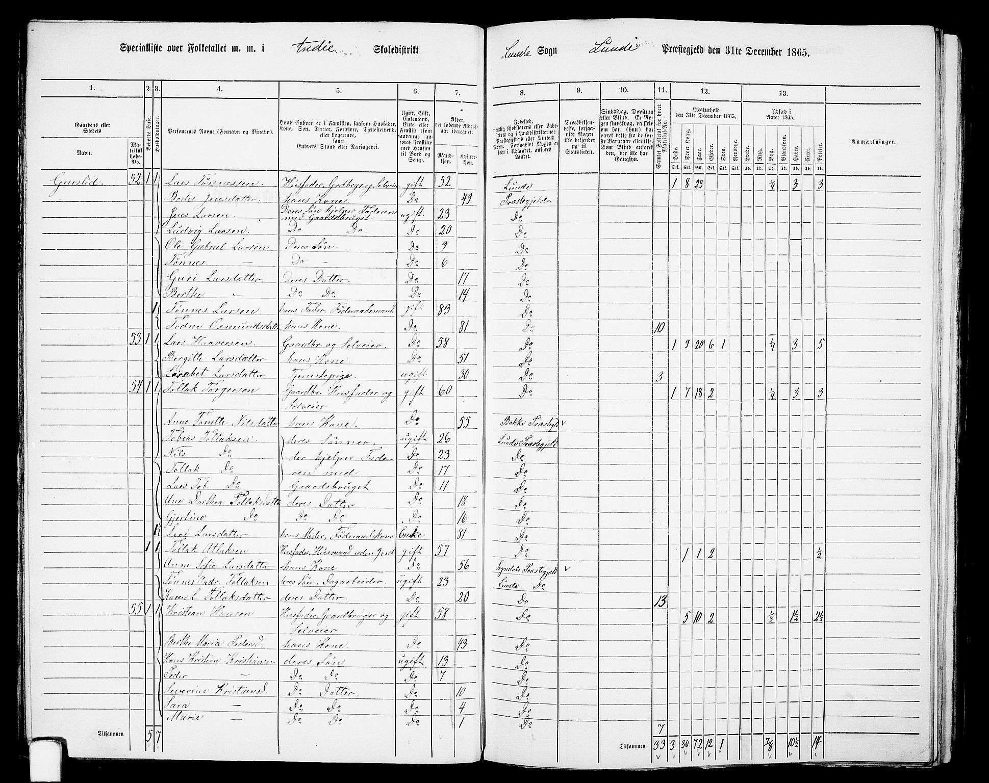 RA, 1865 census for Lund, 1865, p. 29