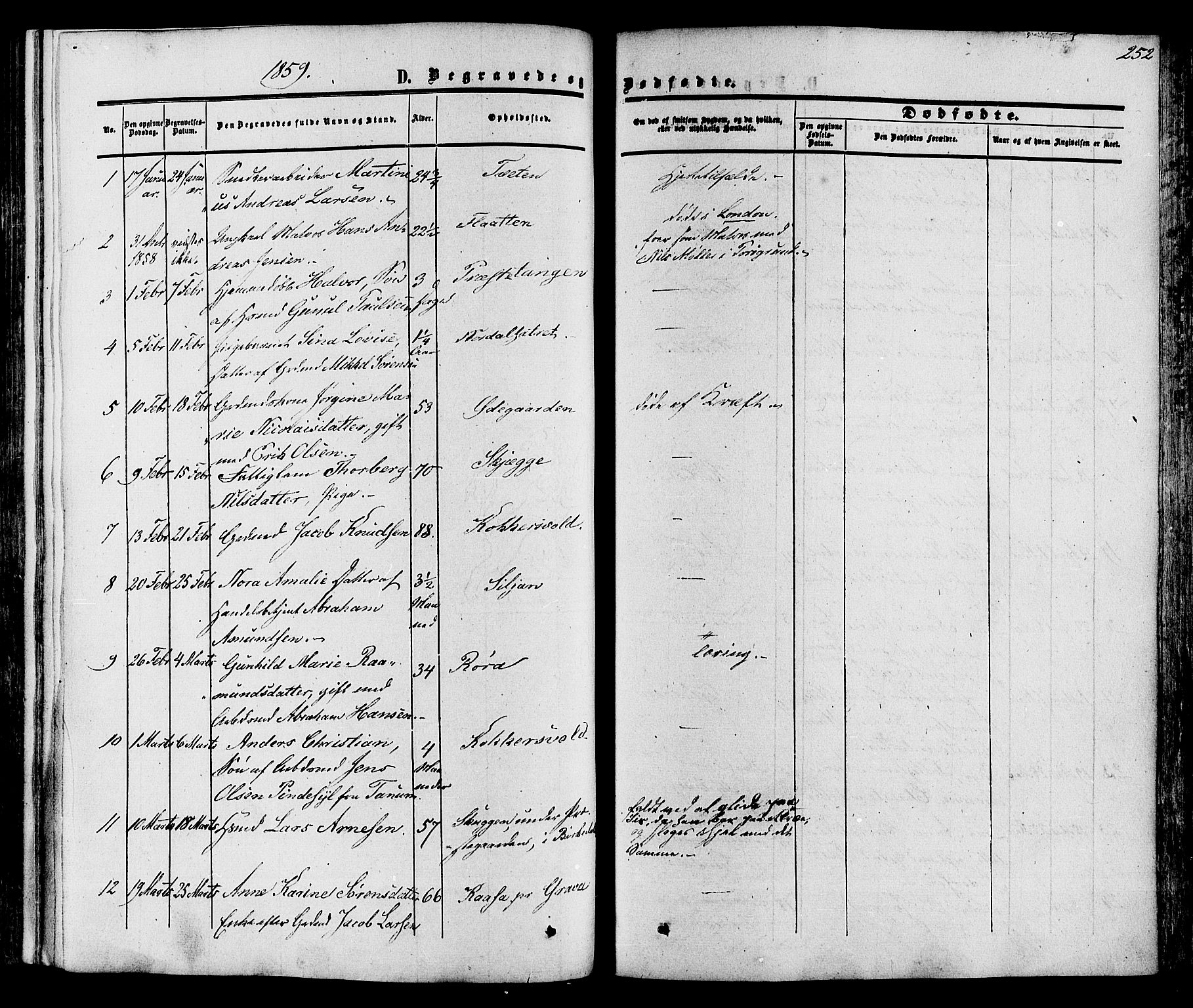 Eidanger kirkebøker, SAKO/A-261/F/Fa/L0010: Parish register (official) no. 10, 1859-1874, p. 252