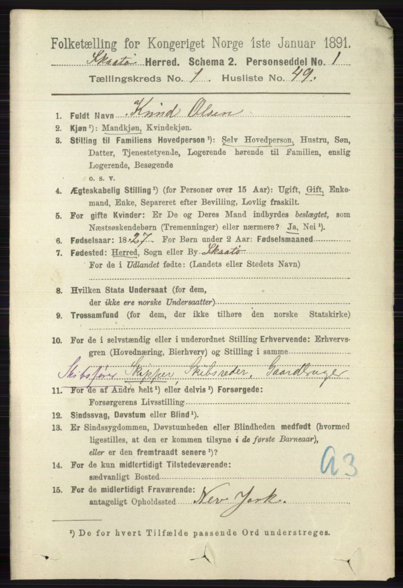 RA, 1891 census for 0815 Skåtøy, 1891, p. 376