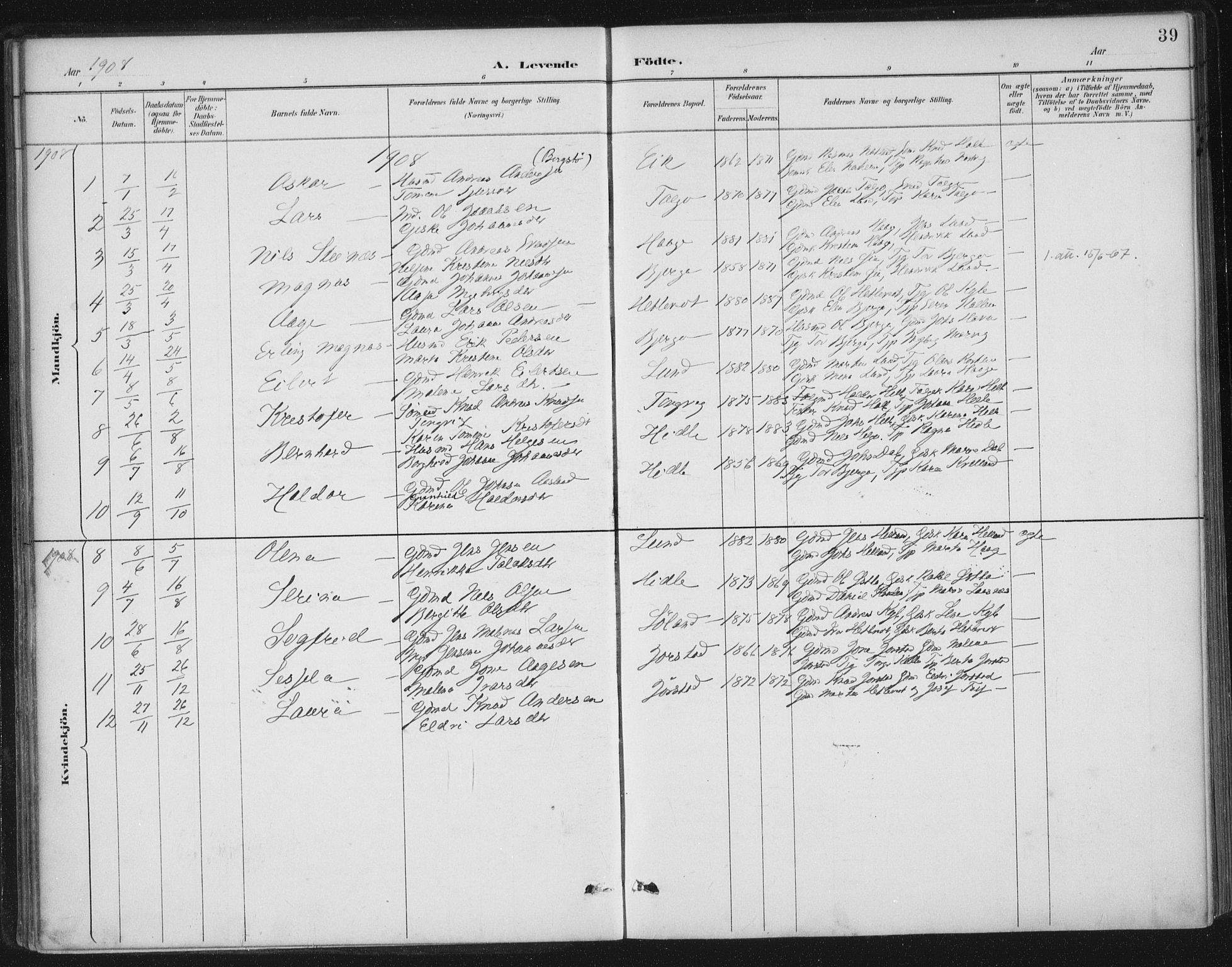 Nedstrand sokneprestkontor, AV/SAST-A-101841/01/IV: Parish register (official) no. A 13, 1887-1915, p. 39