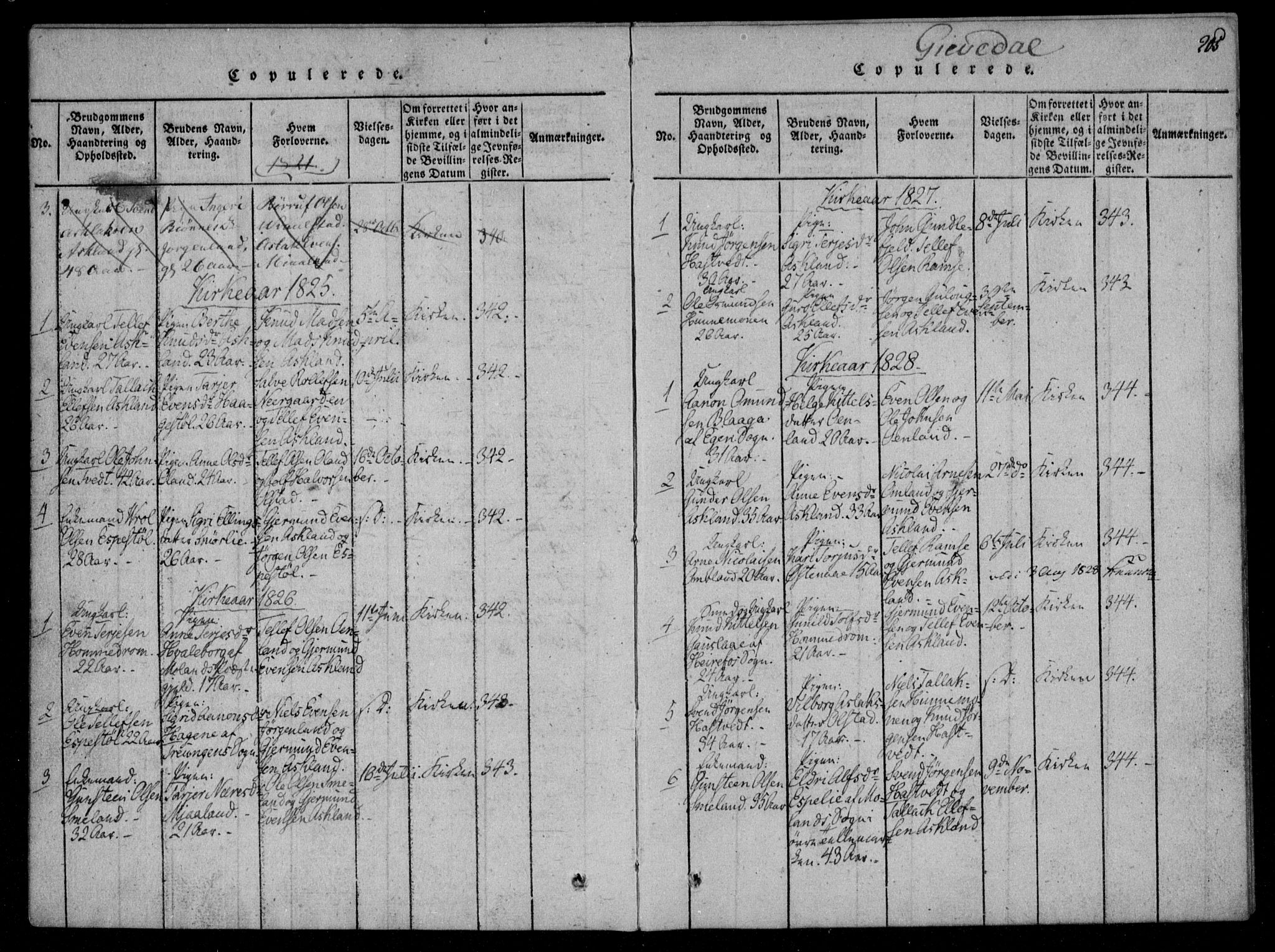 Åmli sokneprestkontor, AV/SAK-1111-0050/F/Fa/Fac/L0006: Parish register (official) no. A 6, 1816-1829, p. 205