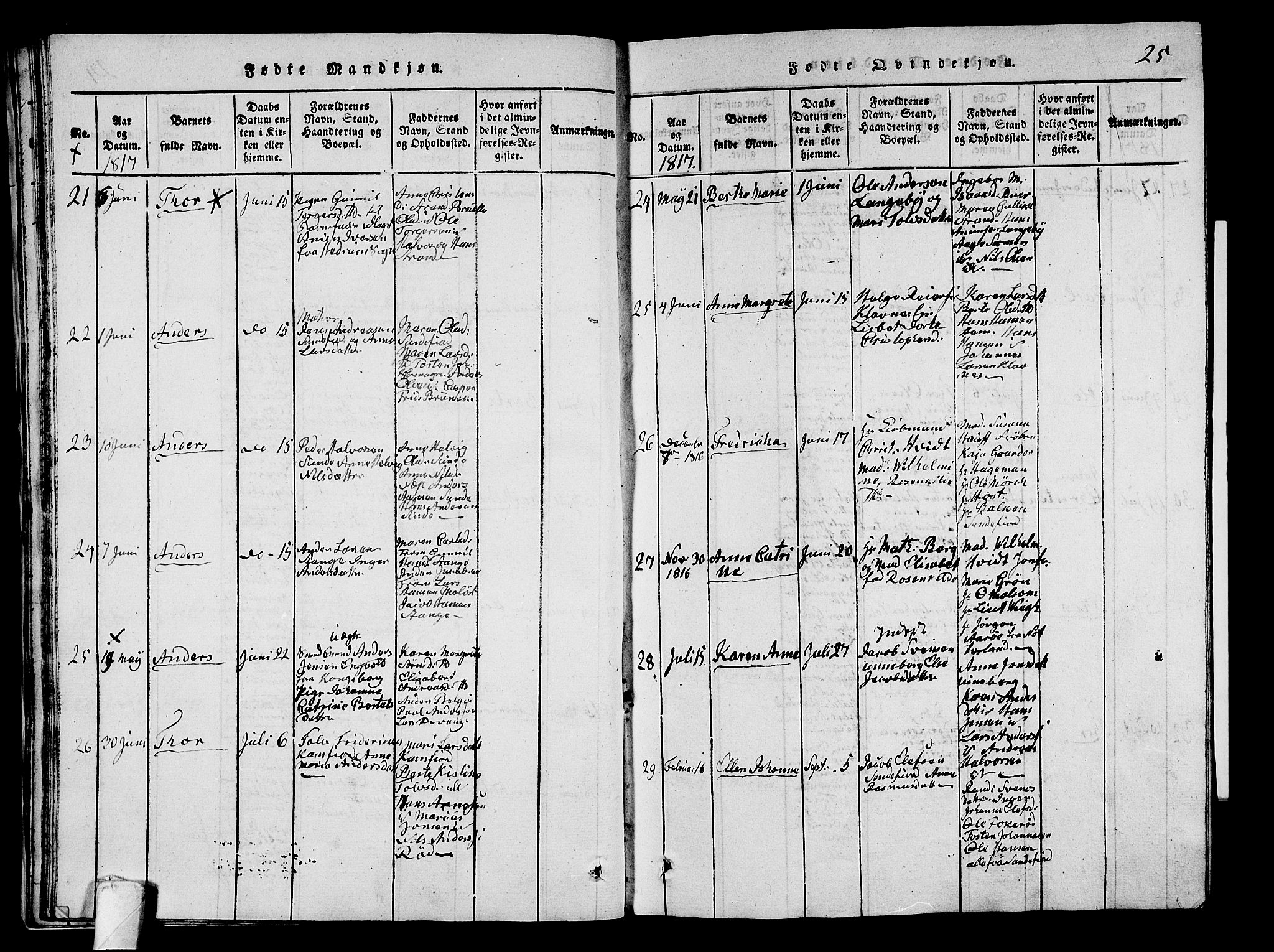 Sandar kirkebøker, AV/SAKO-A-243/G/Ga/L0001: Parish register (copy) no. 1, 1814-1835, p. 25