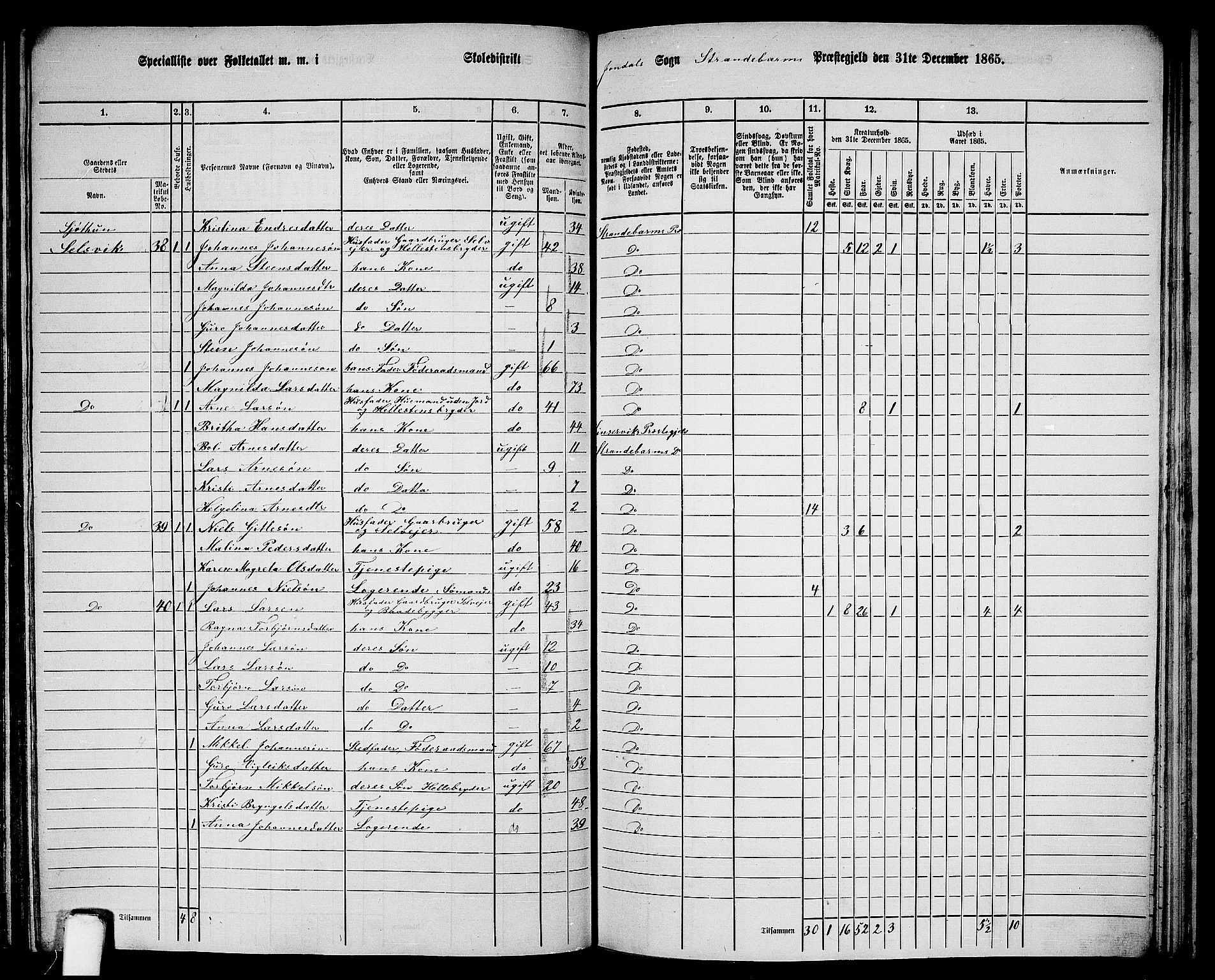 RA, 1865 census for Strandebarm, 1865, p. 161