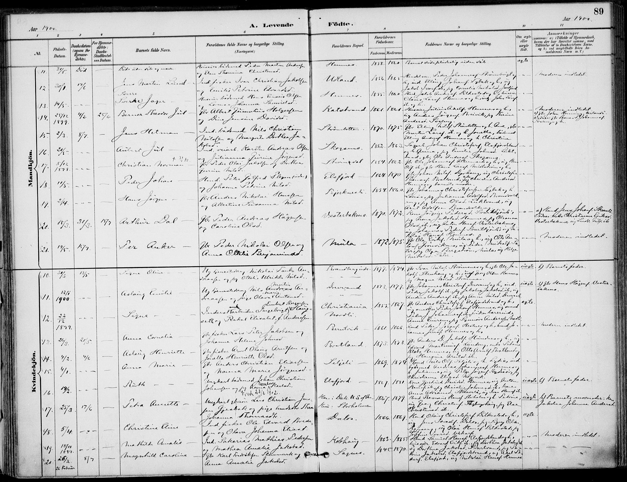 Ministerialprotokoller, klokkerbøker og fødselsregistre - Nordland, SAT/A-1459/825/L0362: Parish register (official) no. 825A16, 1886-1908, p. 89