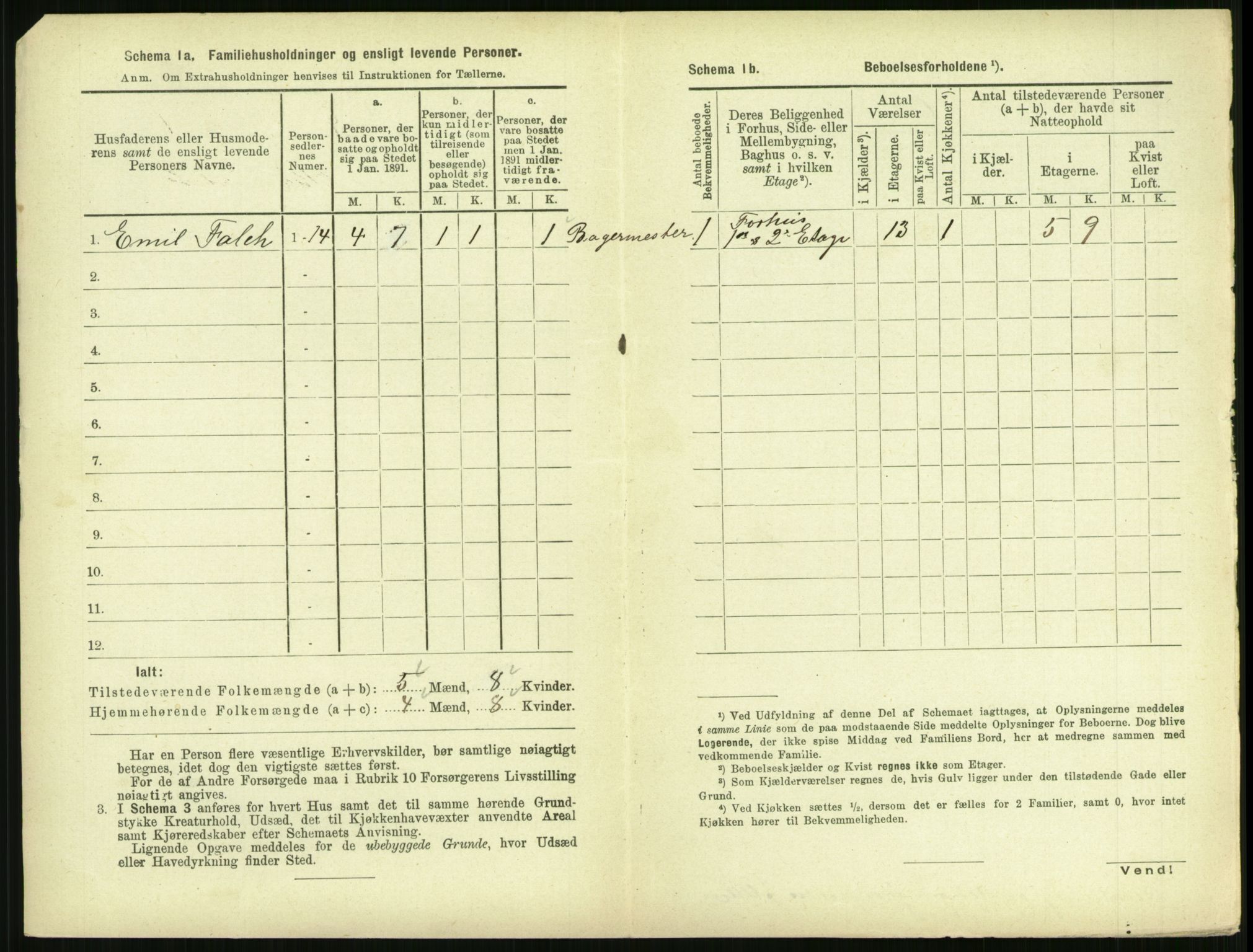 RA, 1891 census for 1702 Steinkjer, 1891, p. 1150