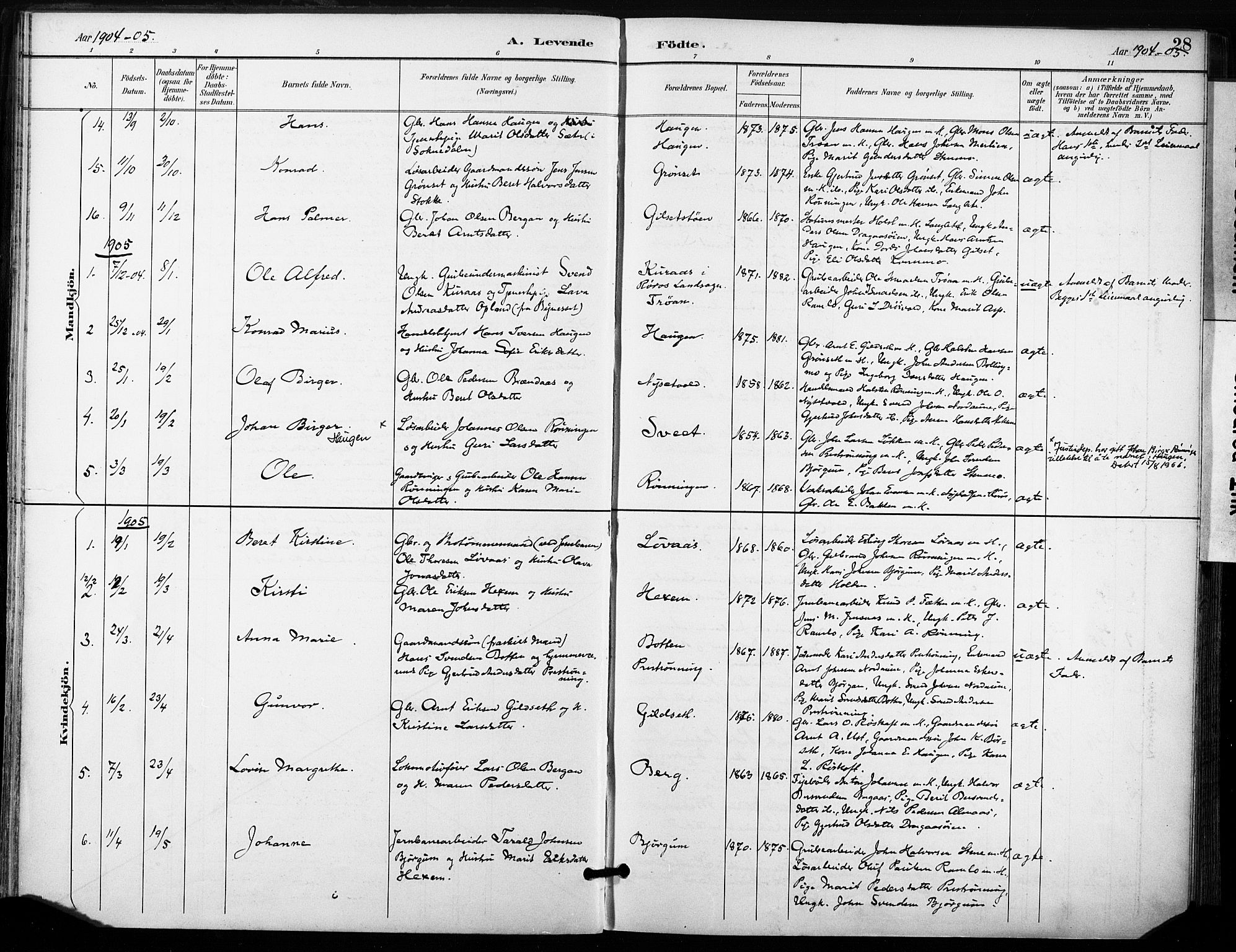 Ministerialprotokoller, klokkerbøker og fødselsregistre - Sør-Trøndelag, SAT/A-1456/685/L0973: Parish register (official) no. 685A10, 1891-1907, p. 28