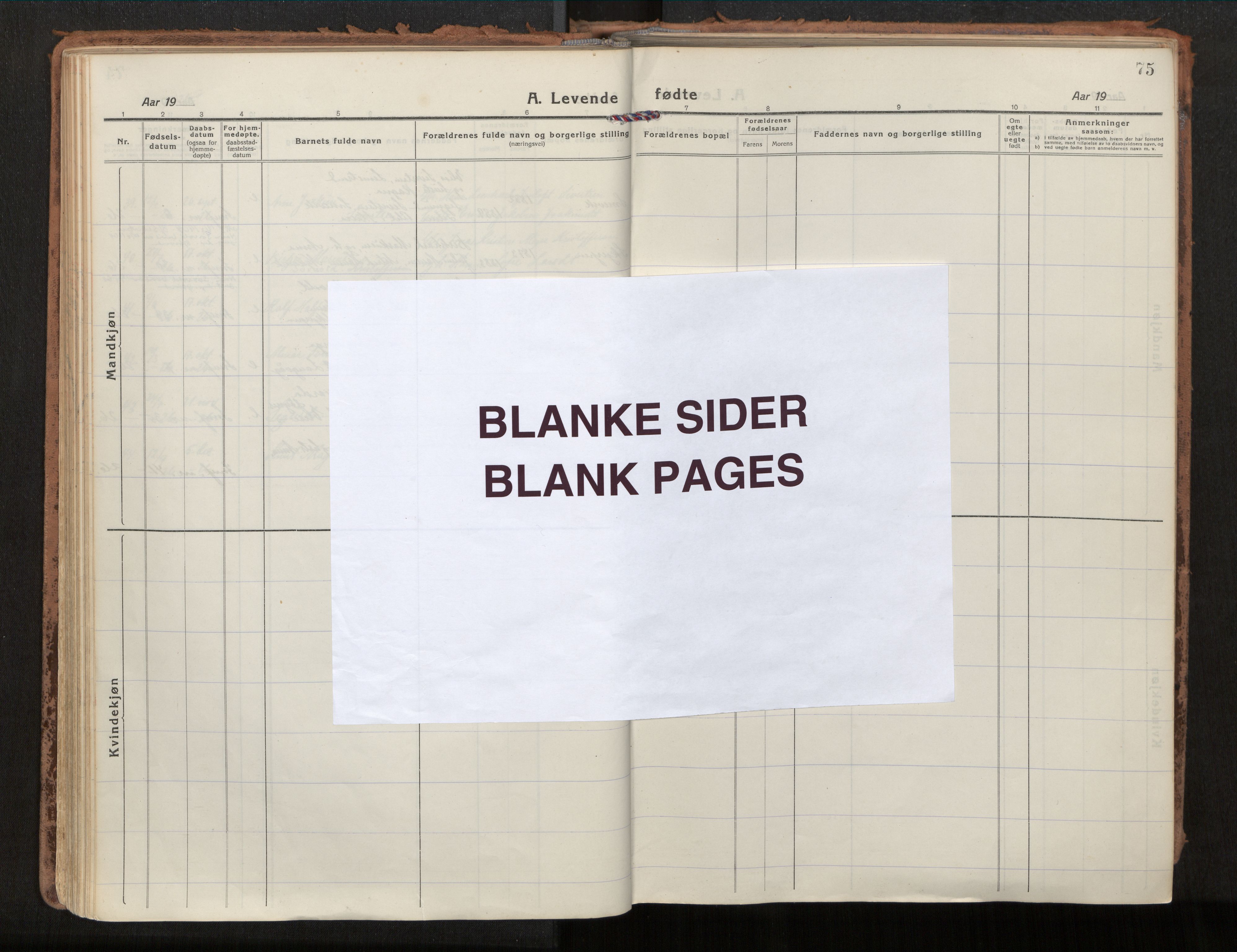 Ministerialprotokoller, klokkerbøker og fødselsregistre - Nordland, AV/SAT-A-1459/880/L1136: Parish register (official) no. 880A10, 1919-1927, p. 75