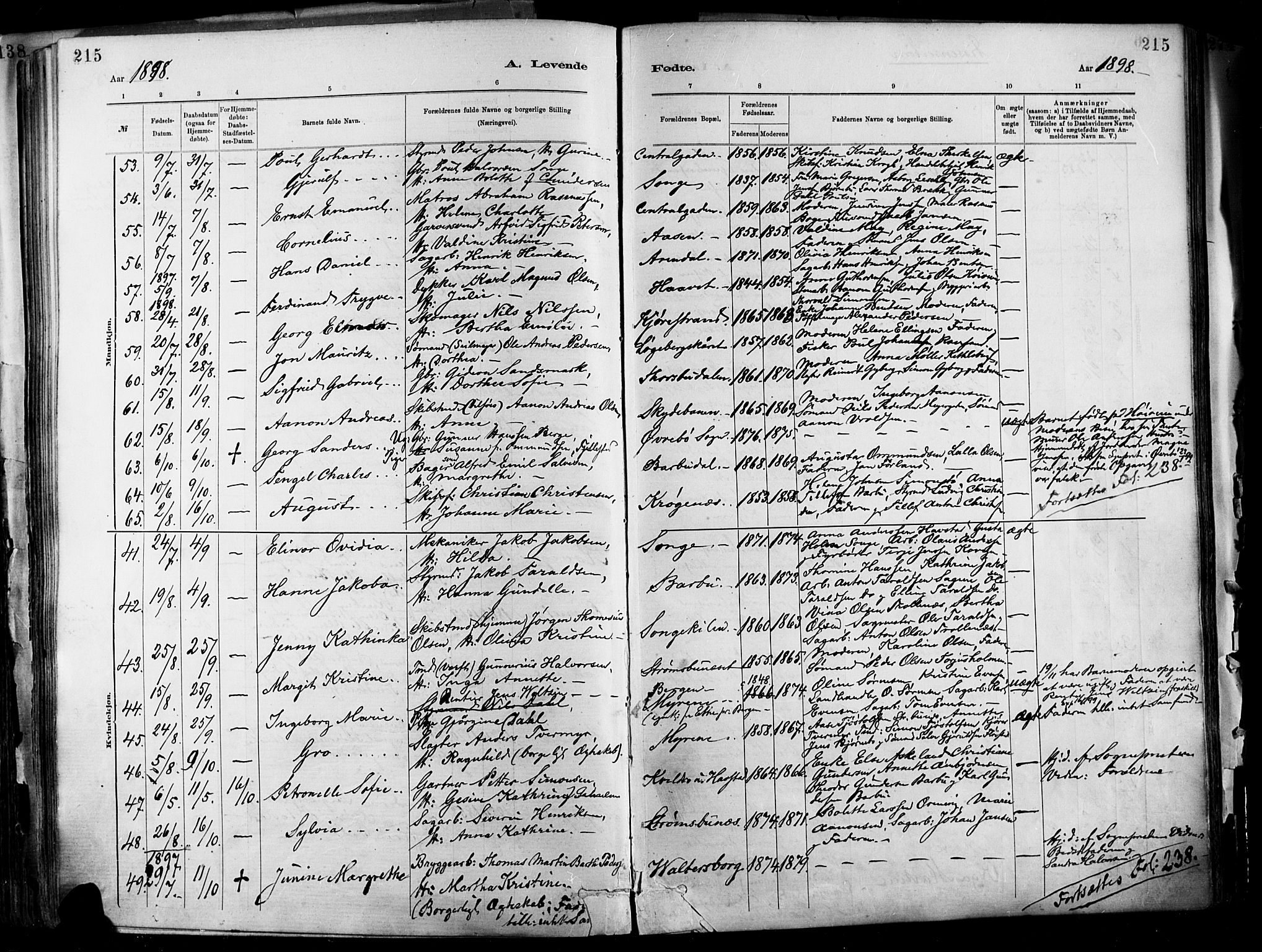 Barbu sokneprestkontor, AV/SAK-1111-0003/F/Fa/L0002: Parish register (official) no. A 2, 1883-1898, p. 215