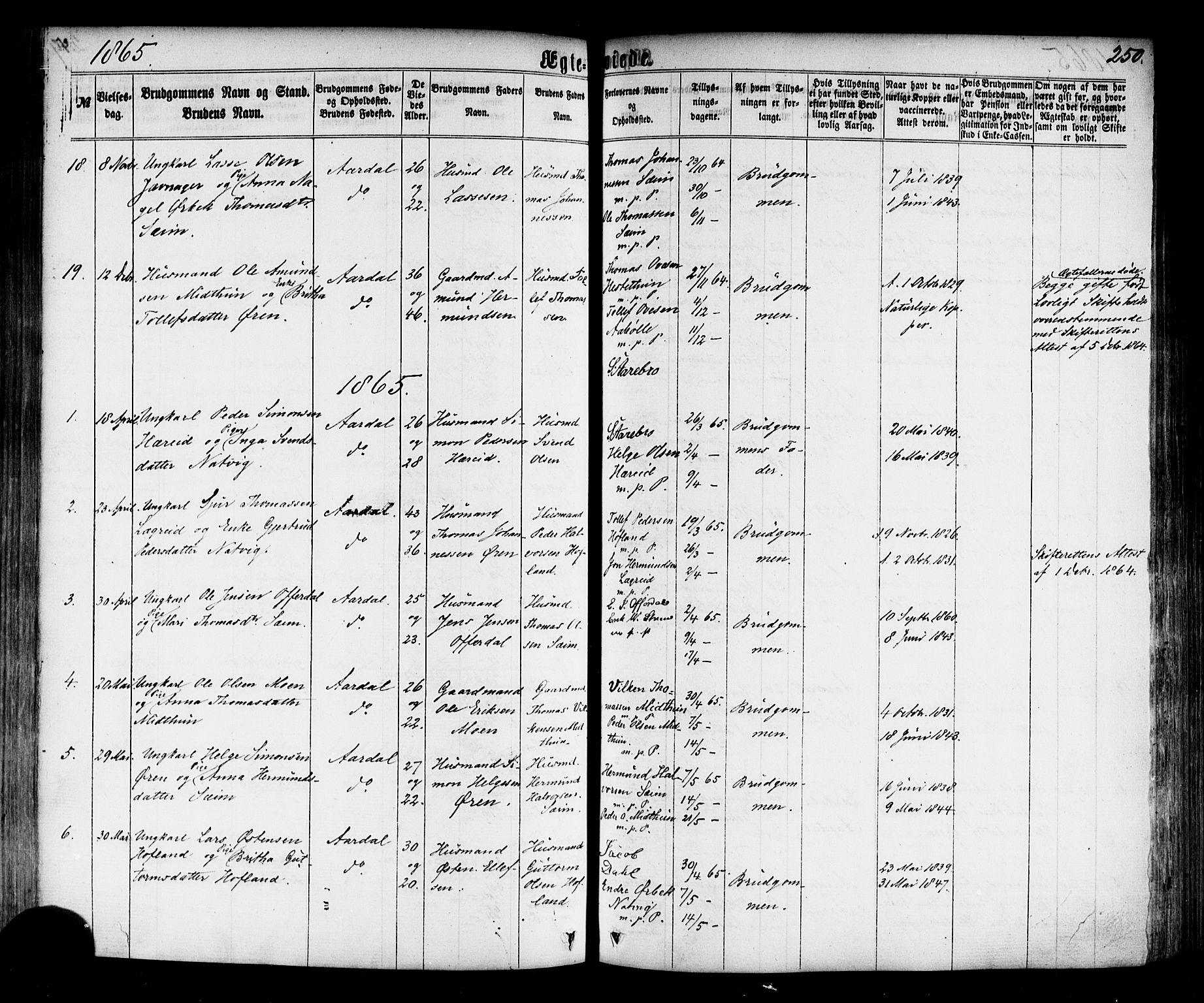 Årdal sokneprestembete, SAB/A-81701: Parish register (official) no. A 3, 1863-1886, p. 250