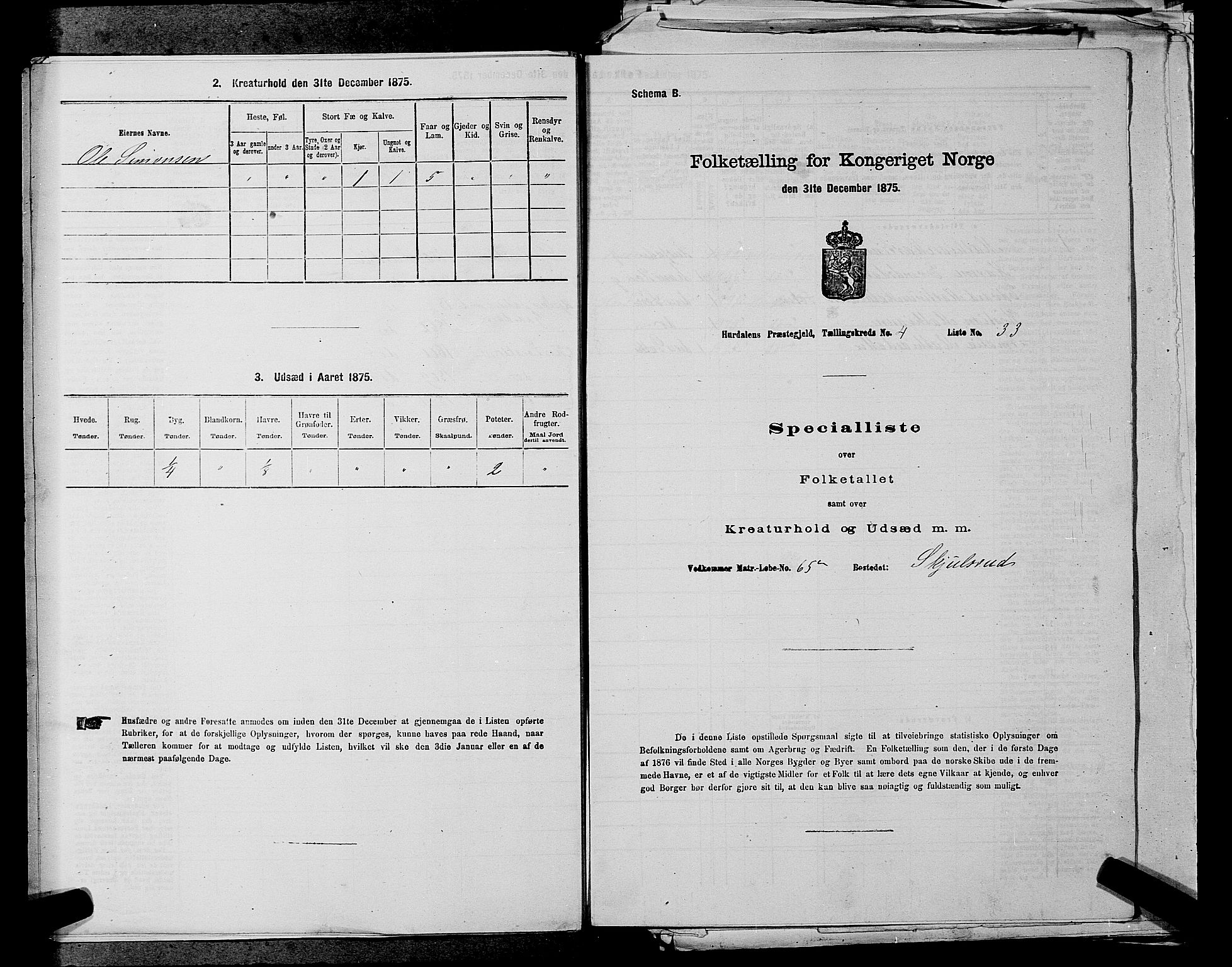 RA, 1875 census for 0239P Hurdal, 1875, p. 717