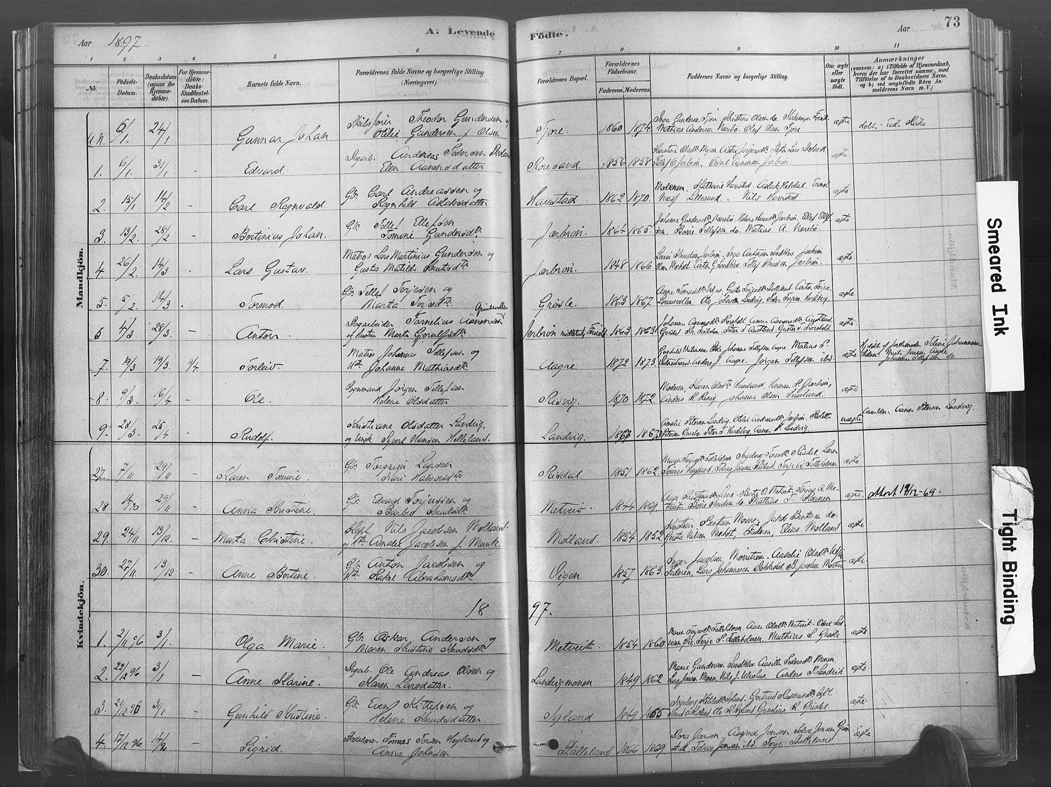 Hommedal sokneprestkontor, SAK/1111-0023/F/Fa/Fab/L0006: Parish register (official) no. A 6, 1878-1897, p. 73