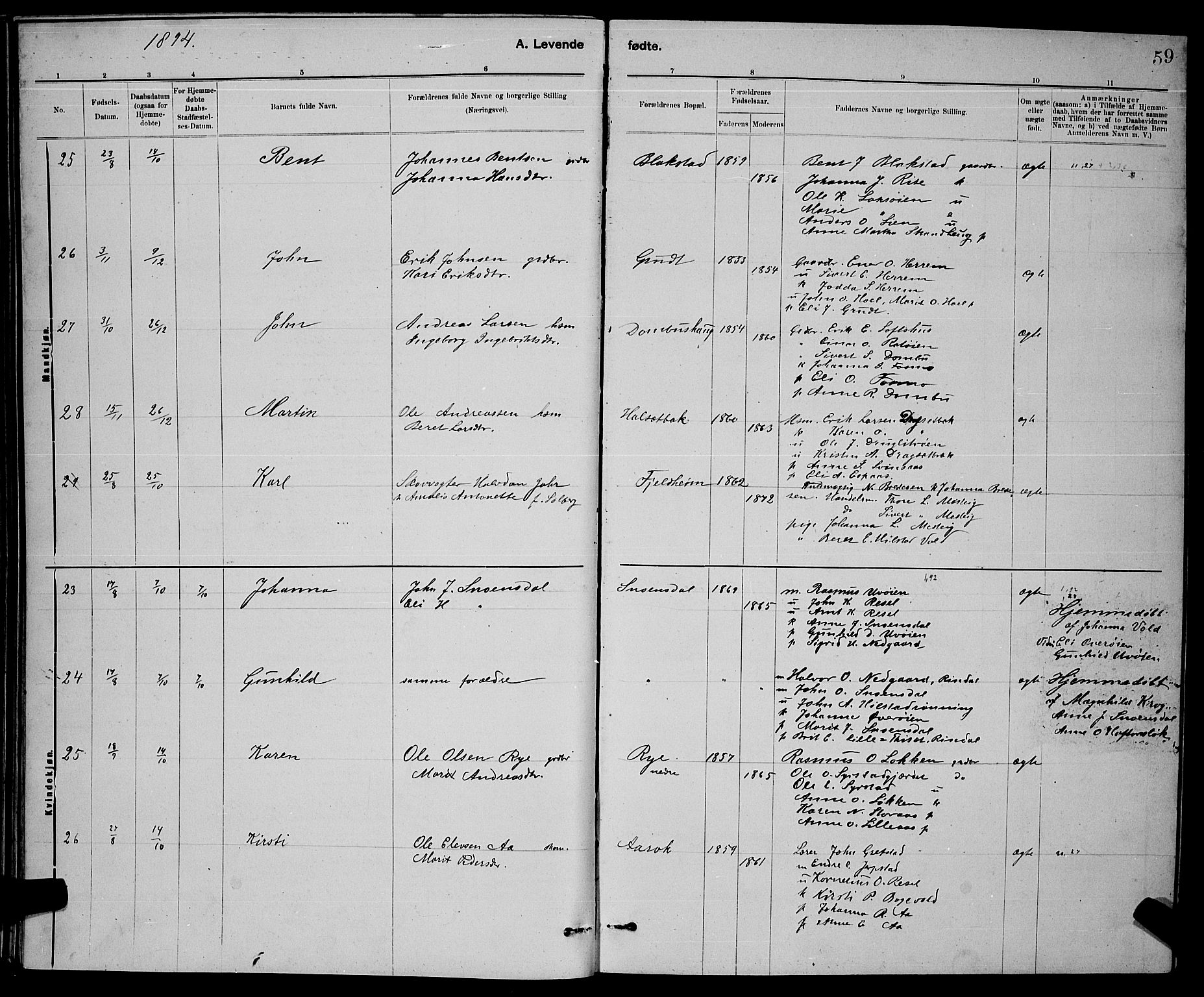 Ministerialprotokoller, klokkerbøker og fødselsregistre - Sør-Trøndelag, AV/SAT-A-1456/672/L0863: Parish register (copy) no. 672C02, 1888-1901, p. 59