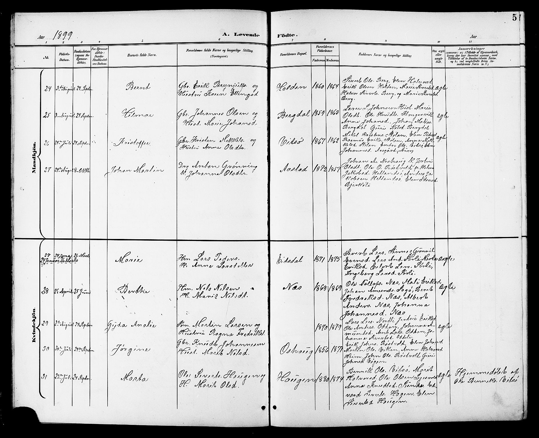 Ministerialprotokoller, klokkerbøker og fødselsregistre - Sør-Trøndelag, AV/SAT-A-1456/630/L0505: Parish register (copy) no. 630C03, 1899-1914, p. 5