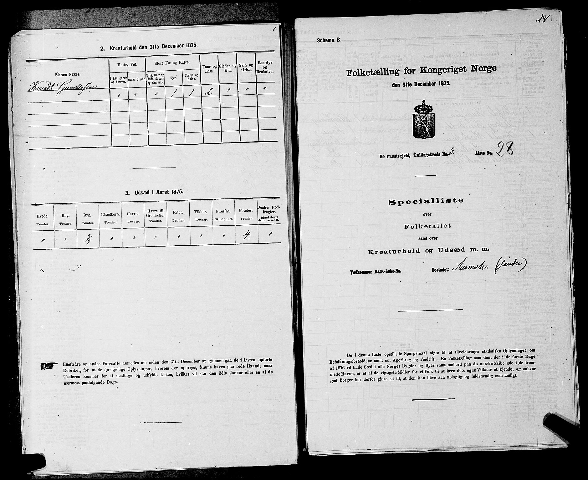 SAKO, 1875 census for 0821P Bø, 1875, p. 413