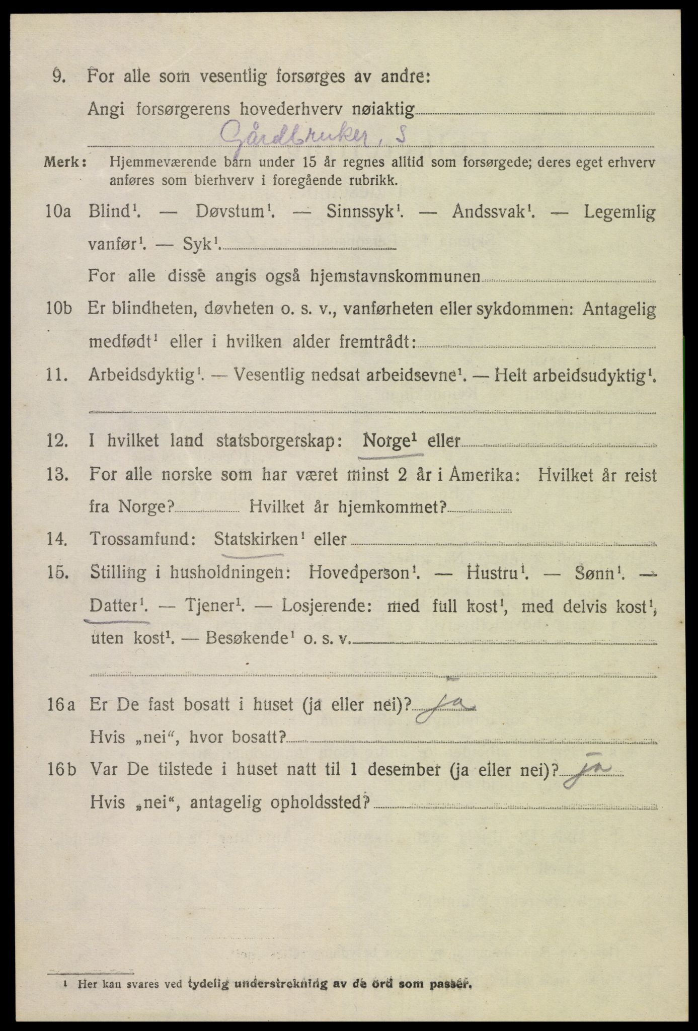 SAK, 1920 census for Hornnes, 1920, p. 3258