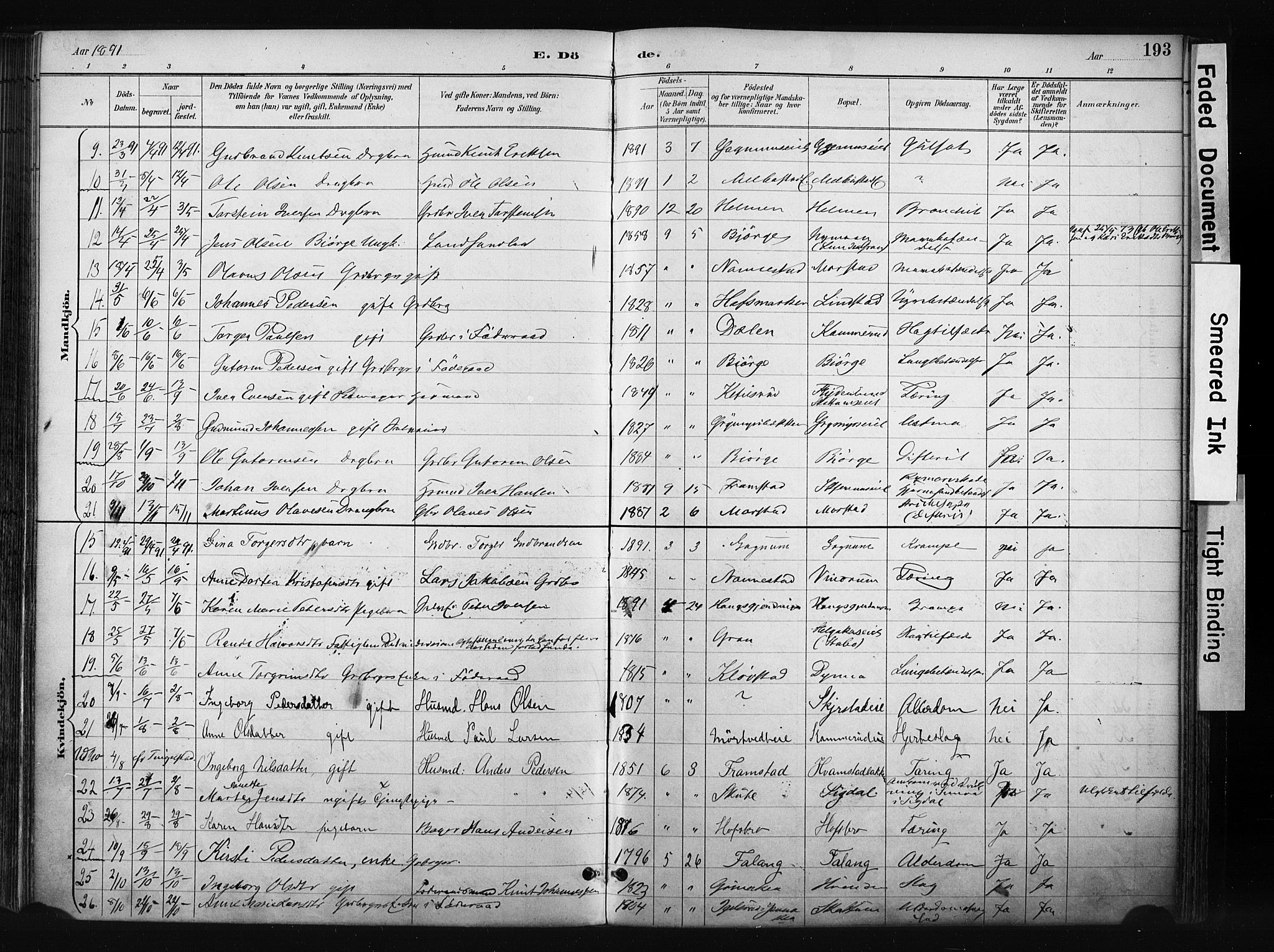 Gran prestekontor, SAH/PREST-112/H/Ha/Haa/L0017: Parish register (official) no. 17, 1889-1897, p. 193