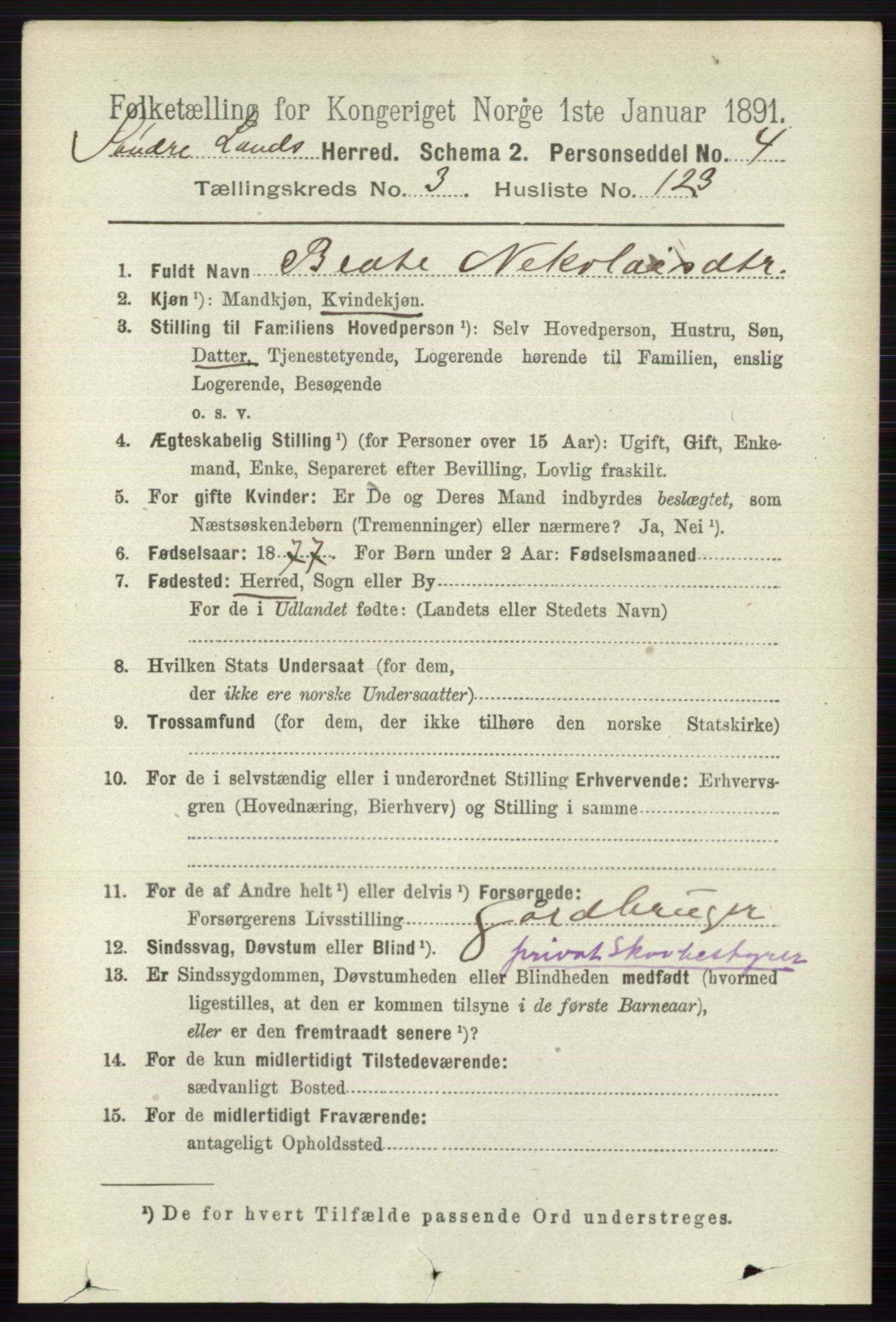 RA, 1891 census for 0536 Søndre Land, 1891, p. 3246