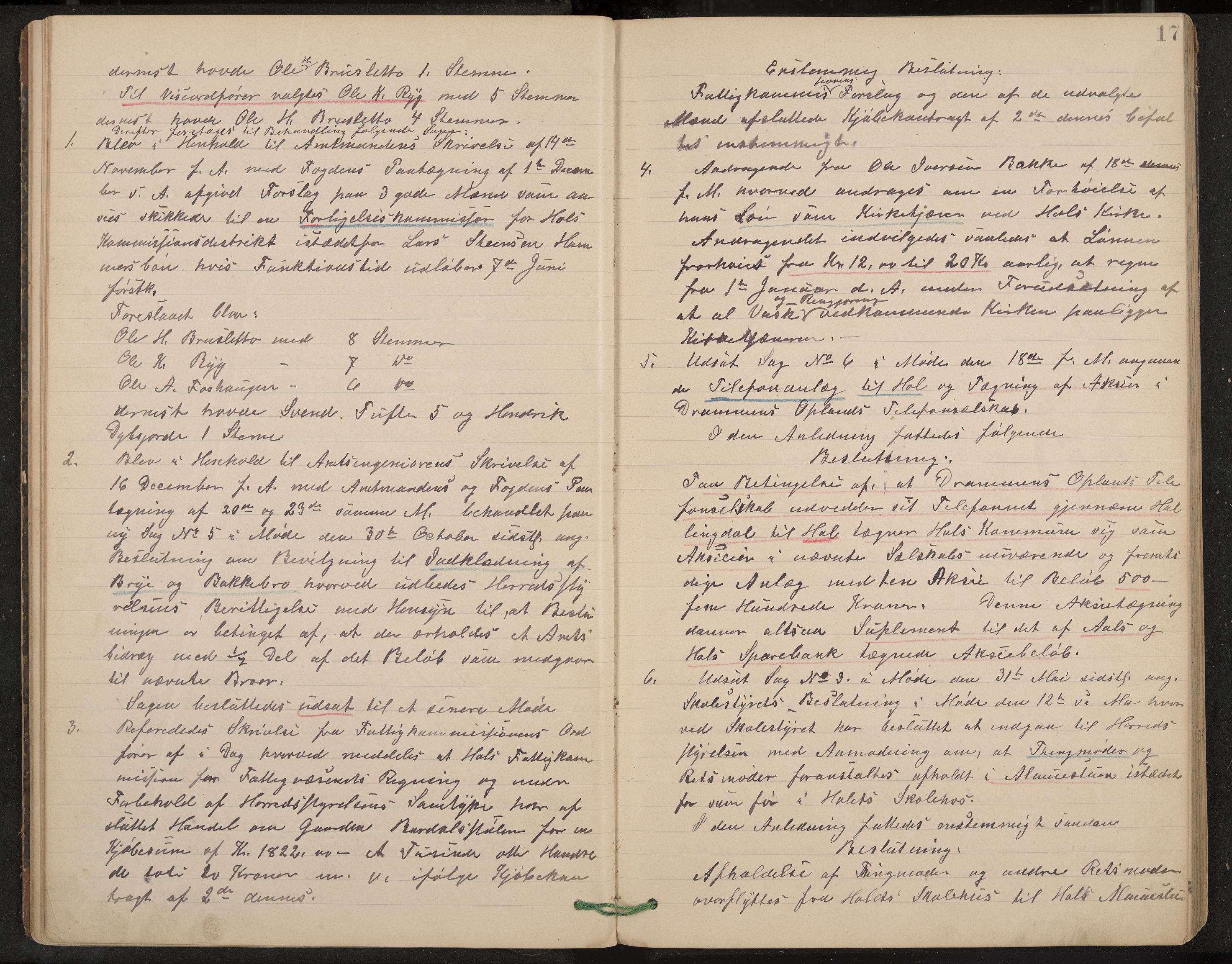 Hol formannskap og sentraladministrasjon, IKAK/0620021-1/A/L0002: Møtebok, 1893-1897, p. 17