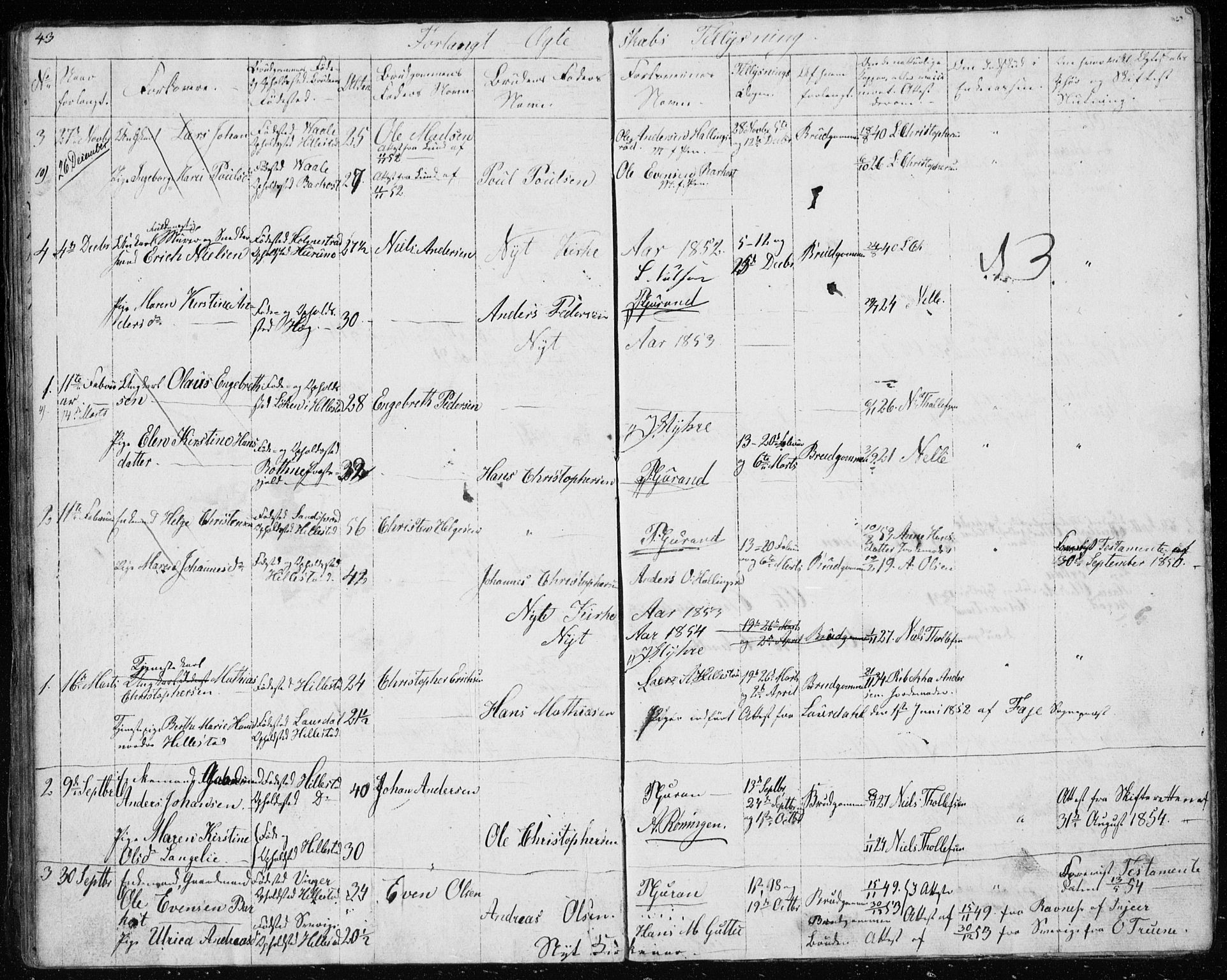 Botne kirkebøker, AV/SAKO-A-340/G/Gb/L0001: Parish register (copy) no. II 1, 1848-1860, p. 43