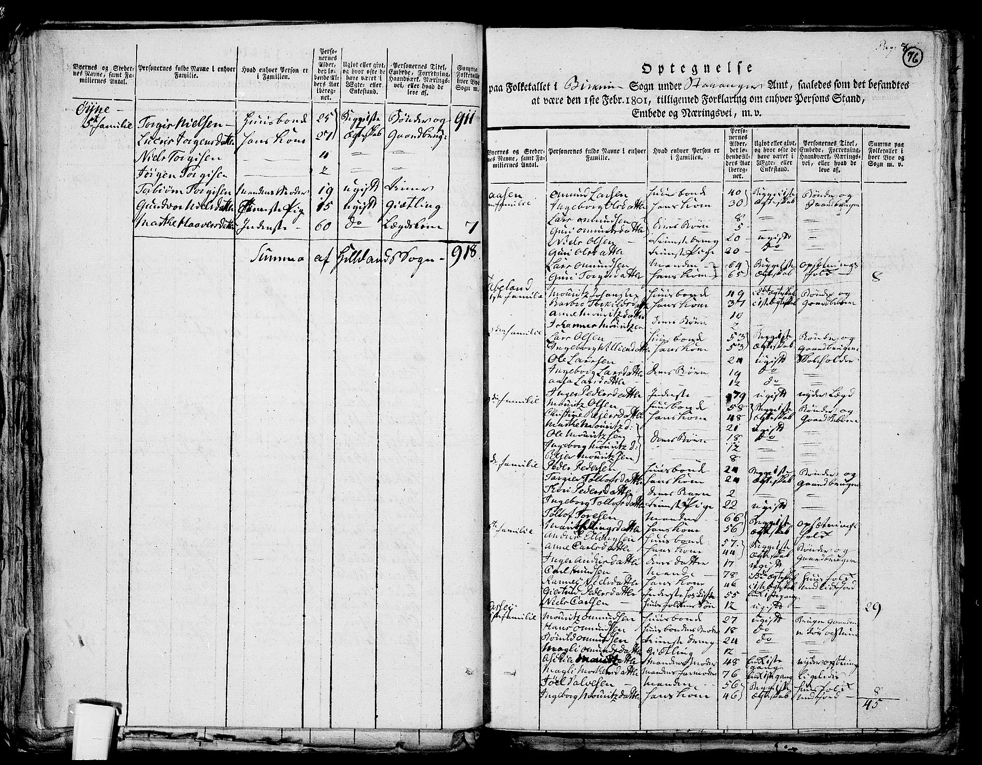 RA, 1801 census for 1115P Helleland, 1801, p. 75b-76a