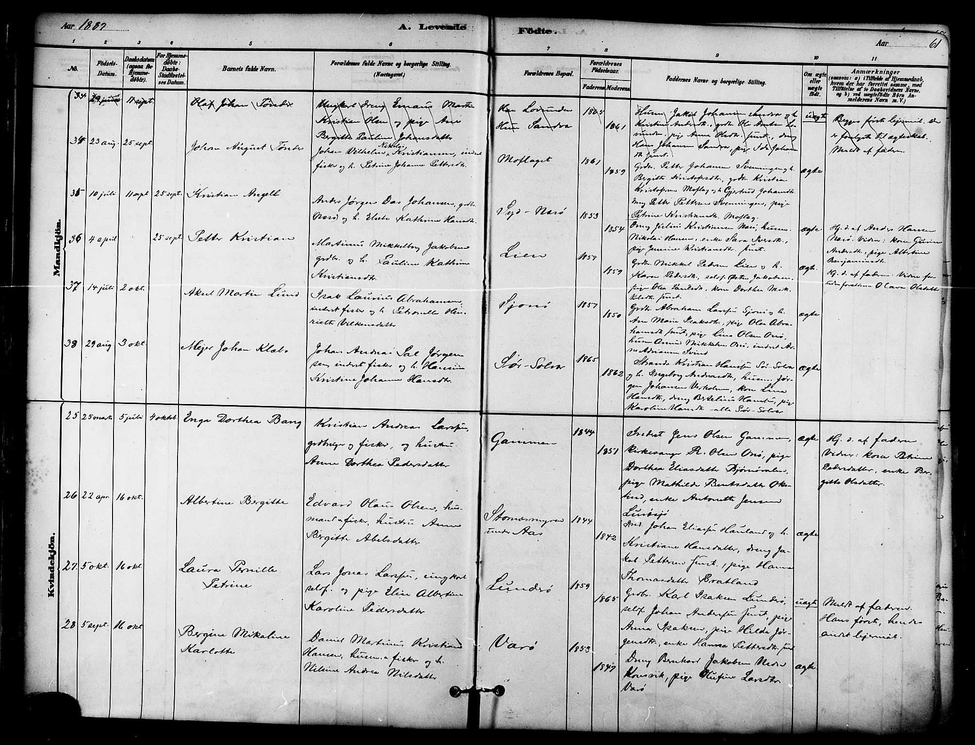 Ministerialprotokoller, klokkerbøker og fødselsregistre - Nordland, AV/SAT-A-1459/839/L0568: Parish register (official) no. 839A05, 1880-1902, p. 61