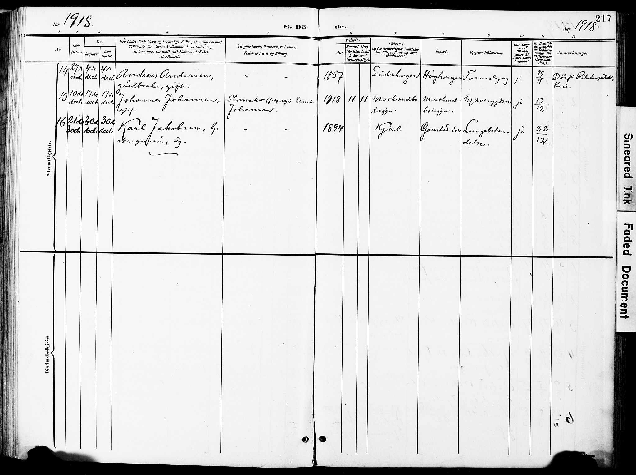 Nittedal prestekontor Kirkebøker, AV/SAO-A-10365a/F/Fa/L0008: Parish register (official) no. I 8, 1902-1926, p. 217