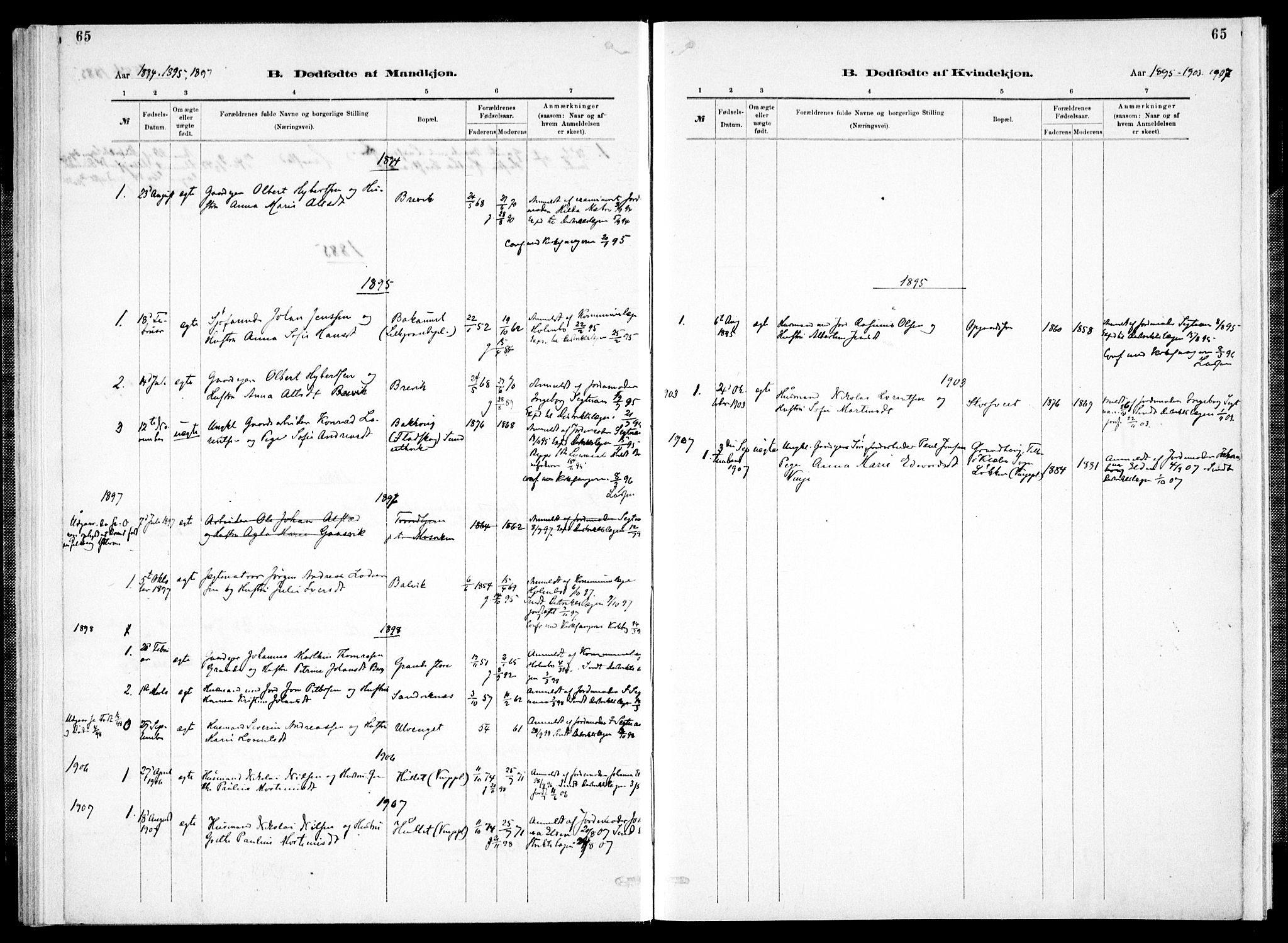 Ministerialprotokoller, klokkerbøker og fødselsregistre - Nord-Trøndelag, SAT/A-1458/733/L0325: Parish register (official) no. 733A04, 1884-1908, p. 65