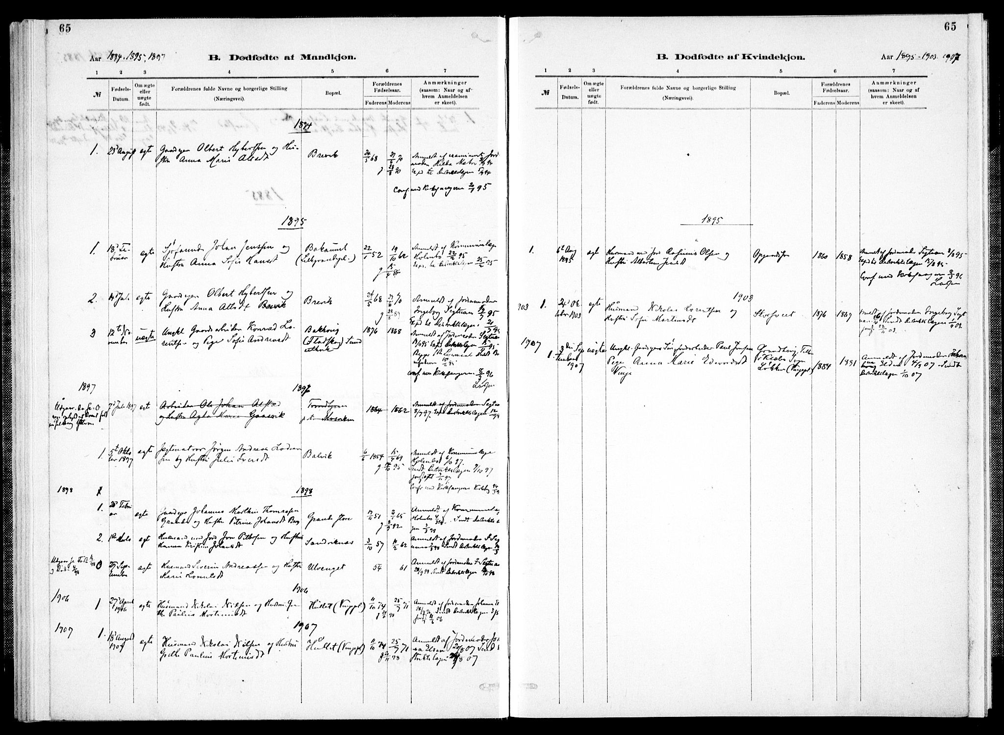 Ministerialprotokoller, klokkerbøker og fødselsregistre - Nord-Trøndelag, AV/SAT-A-1458/733/L0325: Parish register (official) no. 733A04, 1884-1908, p. 65