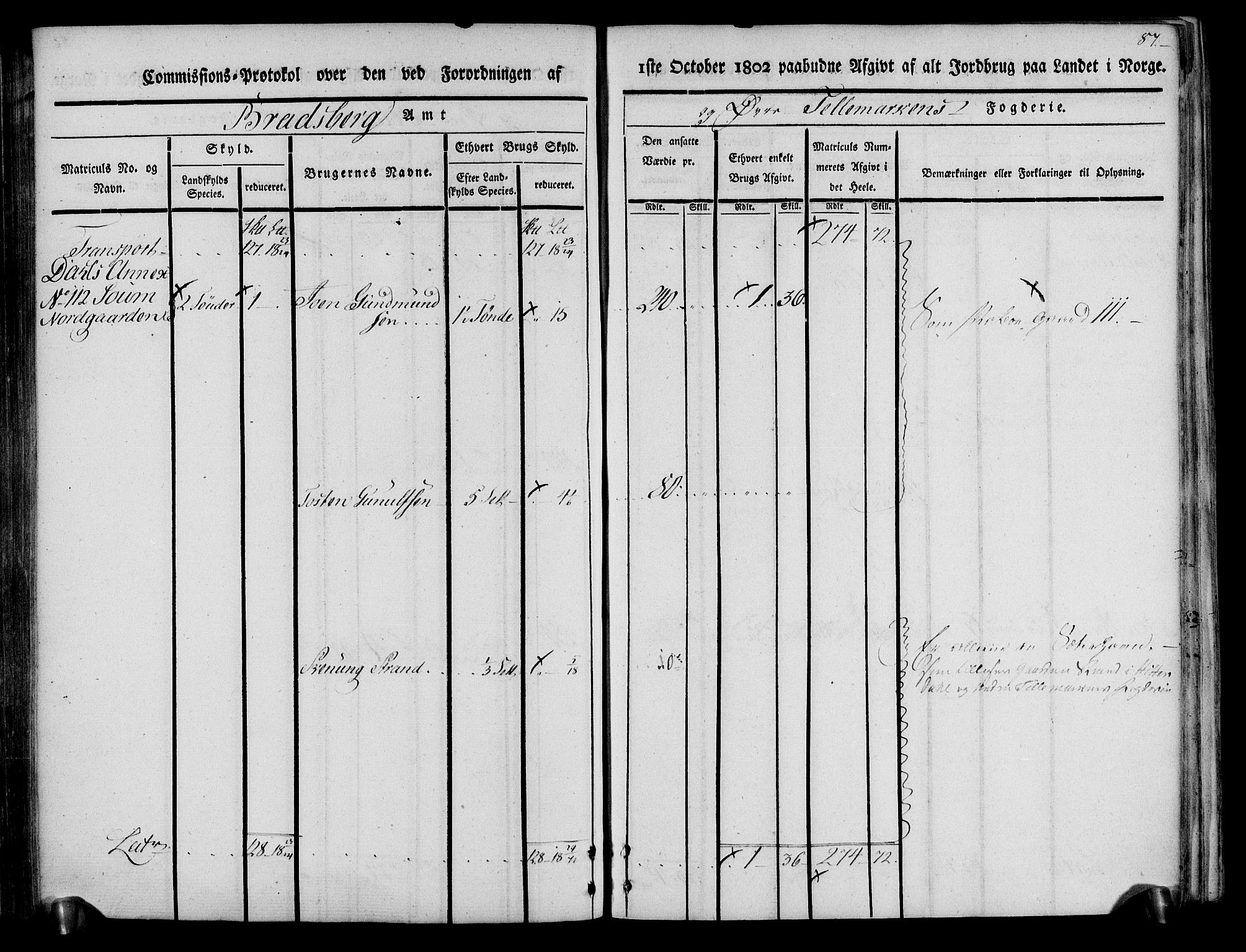 Rentekammeret inntil 1814, Realistisk ordnet avdeling, AV/RA-EA-4070/N/Ne/Nea/L0074: Øvre Telemarken fogderi. Kommisjonsprotokoll for fogderiets østre del - Tinn, Hjartdal og Seljord prestegjeld., 1803, p. 87