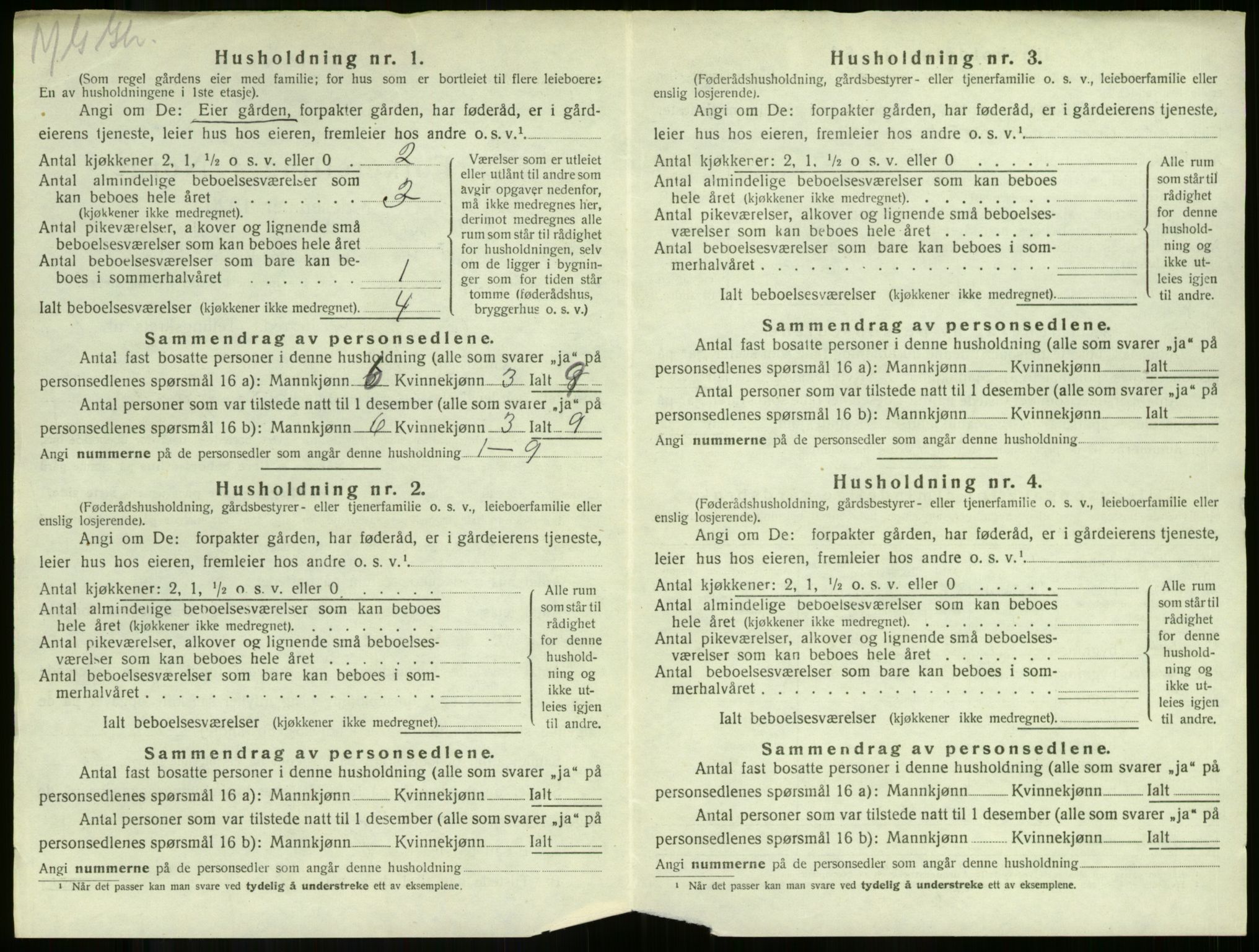 SAKO, 1920 census for Ramnes, 1920, p. 166