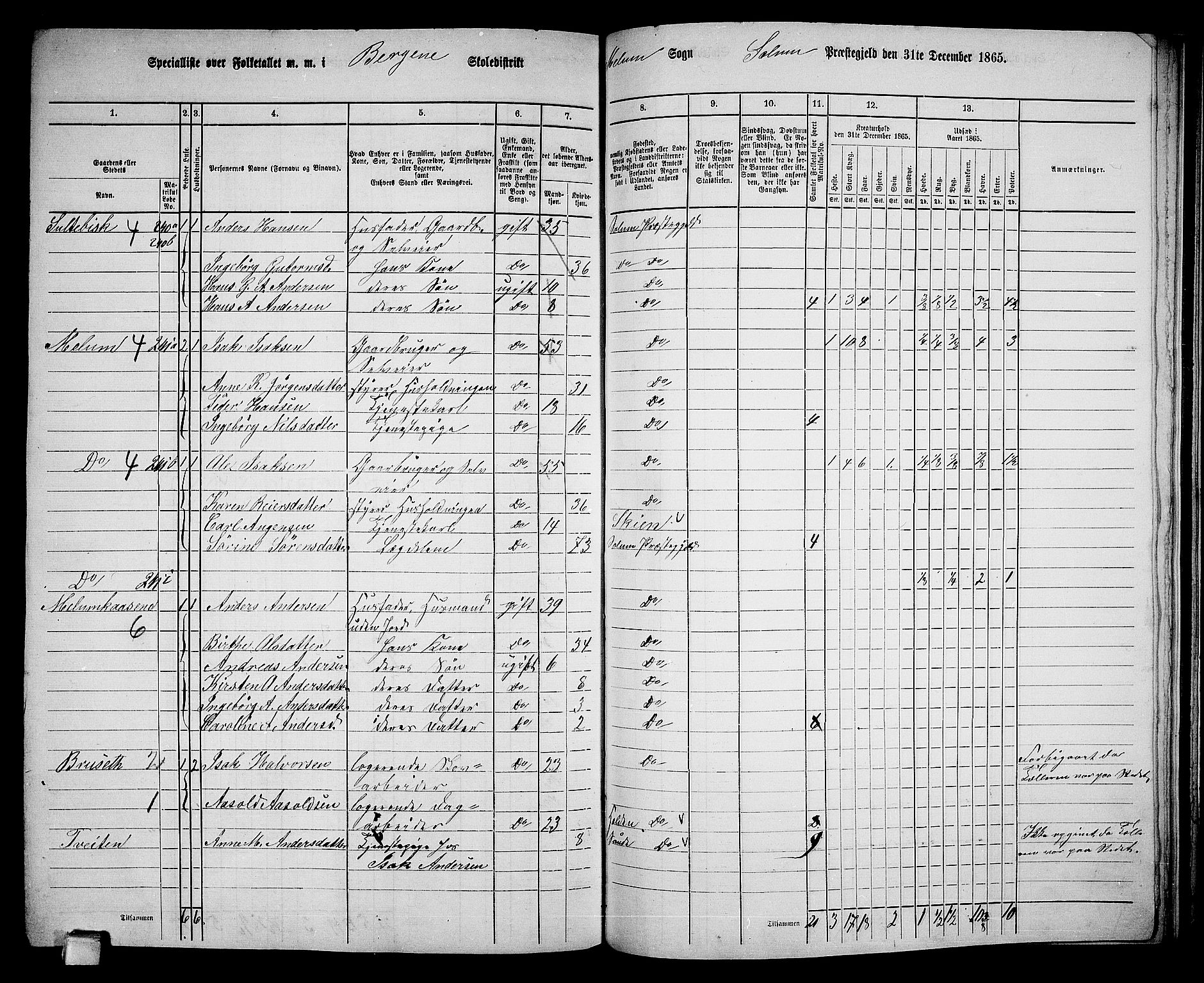 RA, 1865 census for Solum, 1865, p. 190