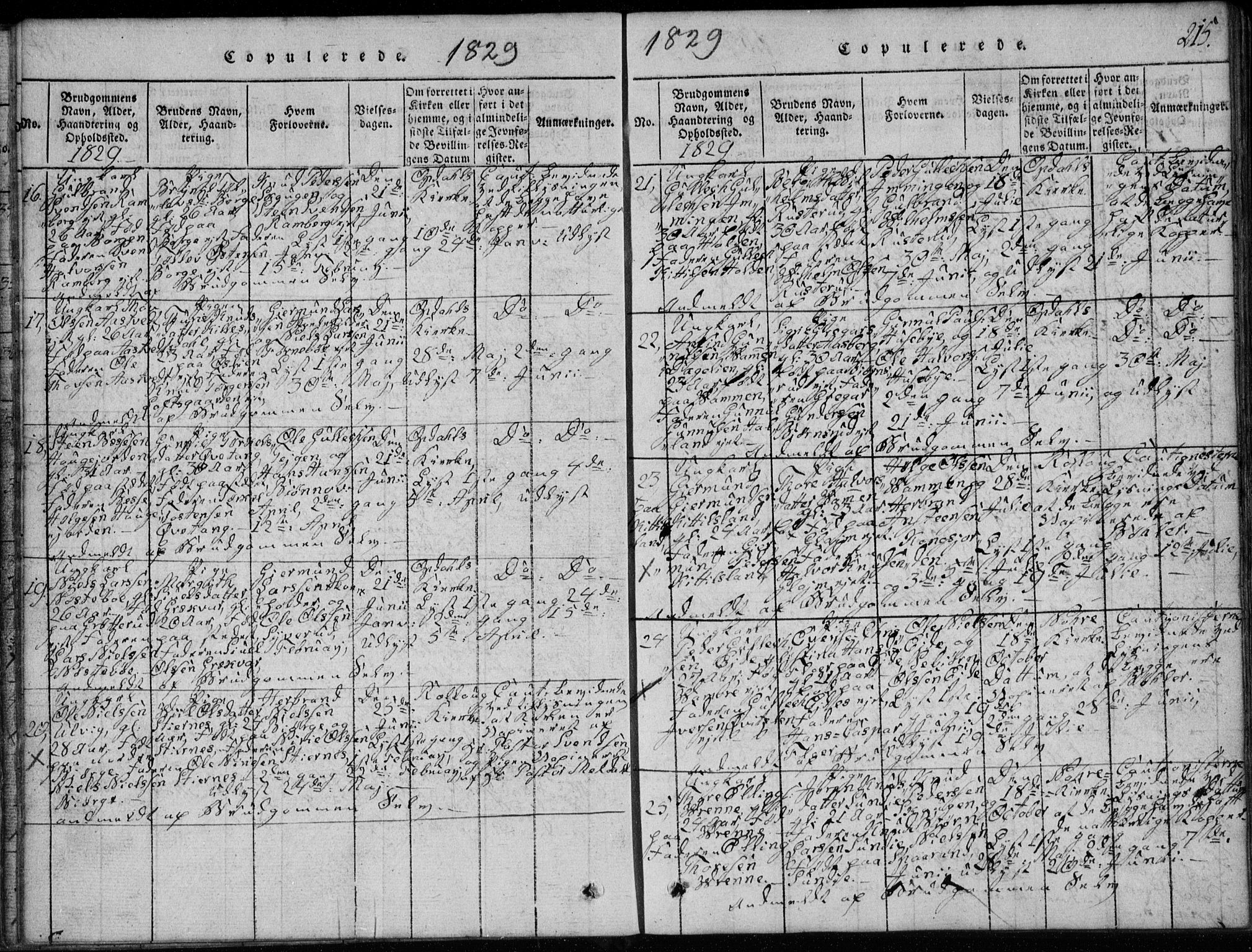 Rollag kirkebøker, AV/SAKO-A-240/G/Ga/L0001: Parish register (copy) no. I 1, 1814-1831, p. 215