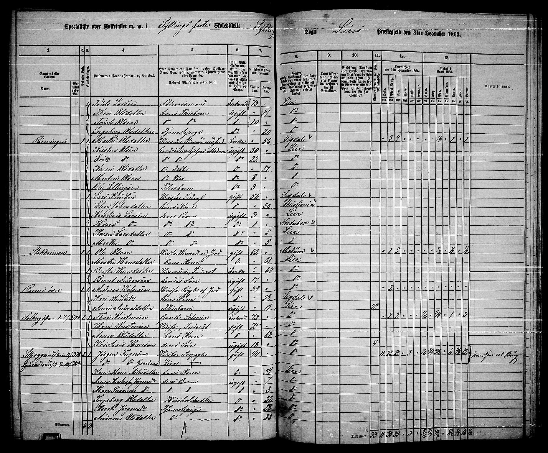 RA, 1865 census for Lier, 1865, p. 209