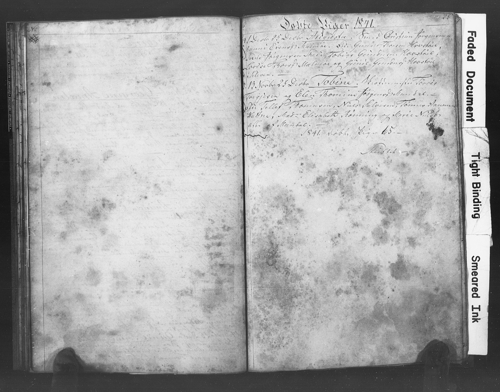 Mandal sokneprestkontor, SAK/1111-0030/F/Fb/Fba/L0004: Parish register (copy) no. B 1D, 1838-1841, p. 25