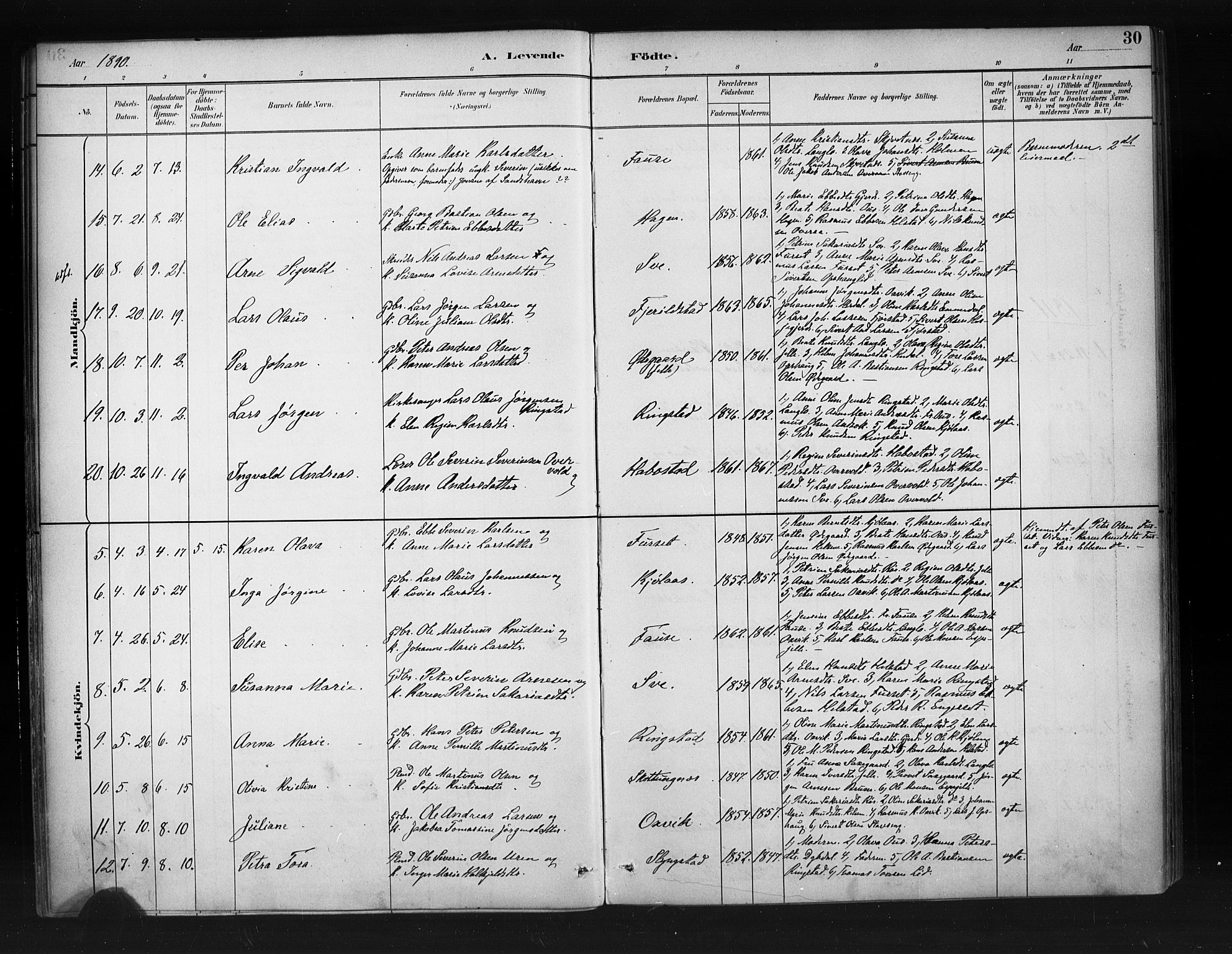 Ministerialprotokoller, klokkerbøker og fødselsregistre - Møre og Romsdal, SAT/A-1454/520/L0283: Parish register (official) no. 520A12, 1882-1898, p. 30