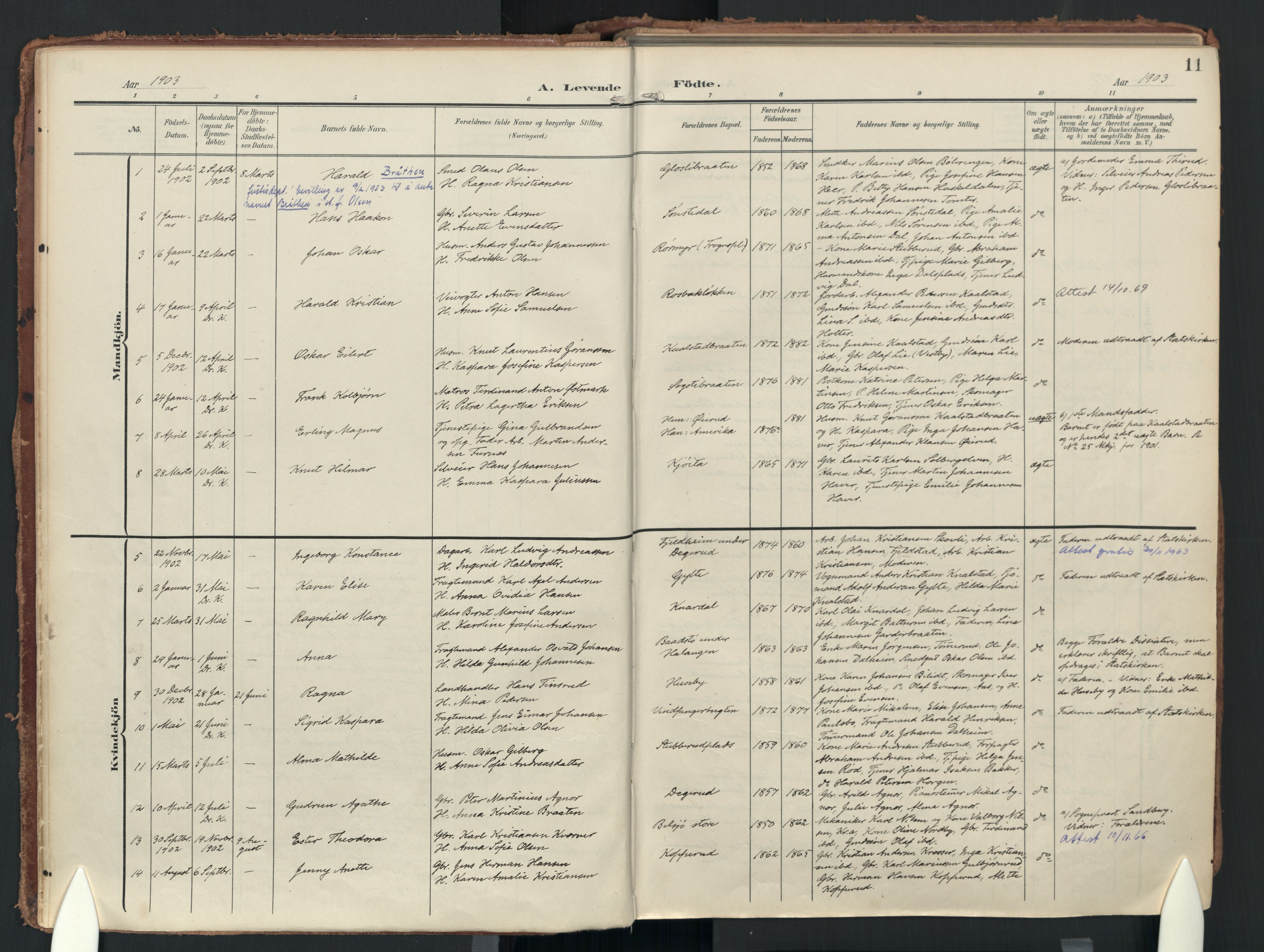Drøbak prestekontor Kirkebøker, SAO/A-10142a/F/Fc/L0003: Parish register (official) no. III 3, 1901-1920, p. 11