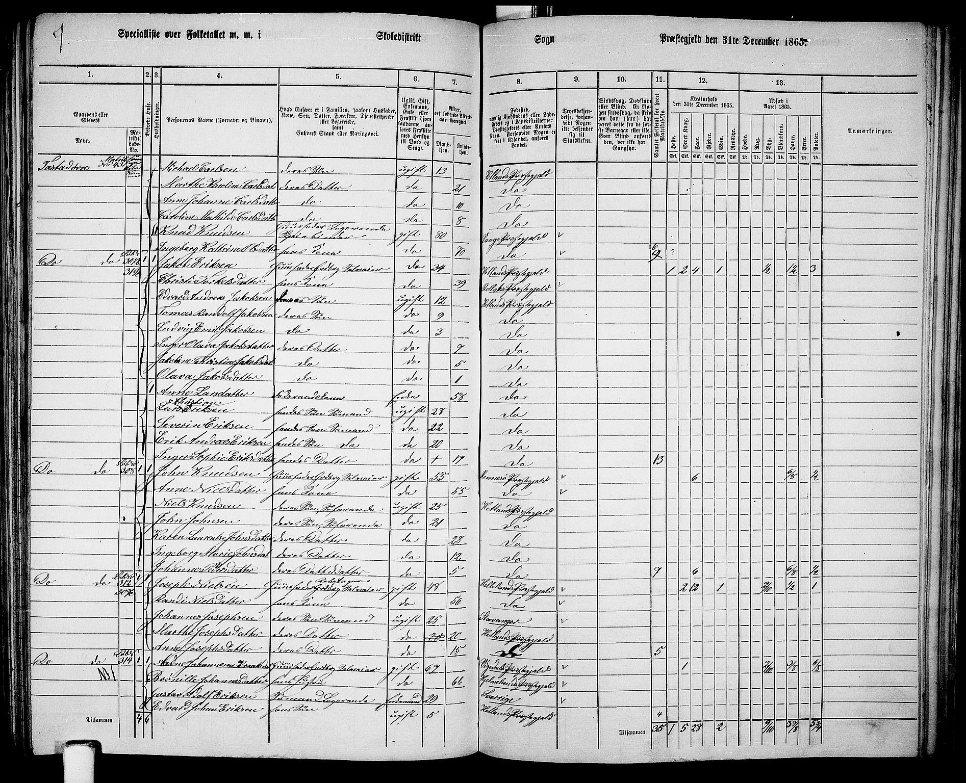 RA, 1865 census for Hetland, 1865, p. 160