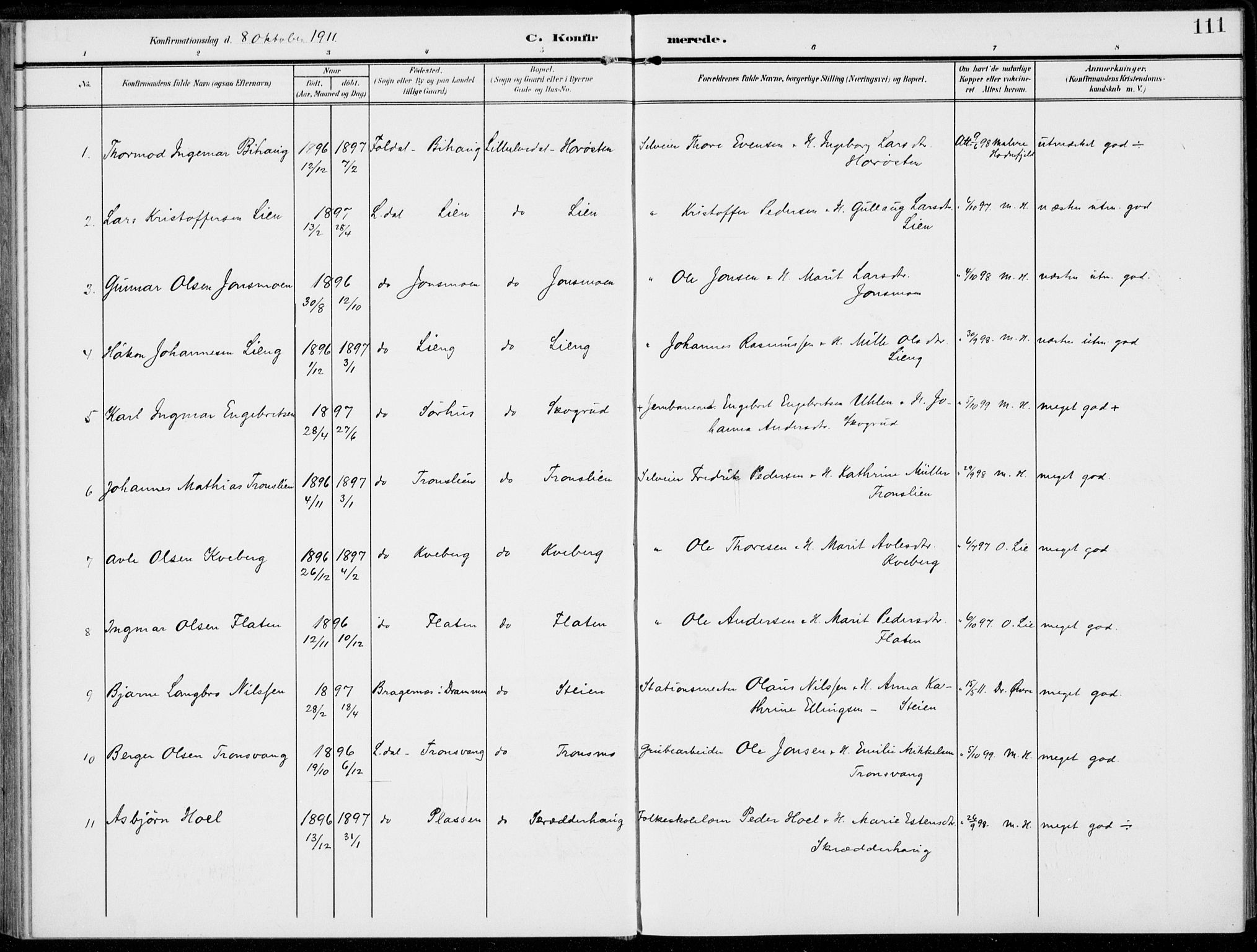 Alvdal prestekontor, SAH/PREST-060/H/Ha/Haa/L0004: Parish register (official) no. 4, 1907-1919, p. 111