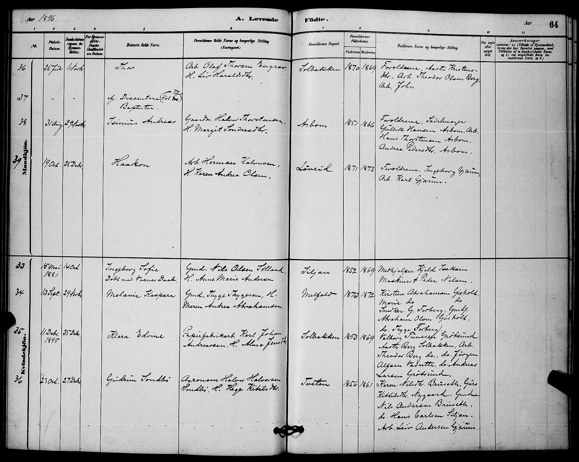 Solum kirkebøker, SAKO/A-306/G/Gb/L0003: Parish register (copy) no. II 3, 1880-1898, p. 64