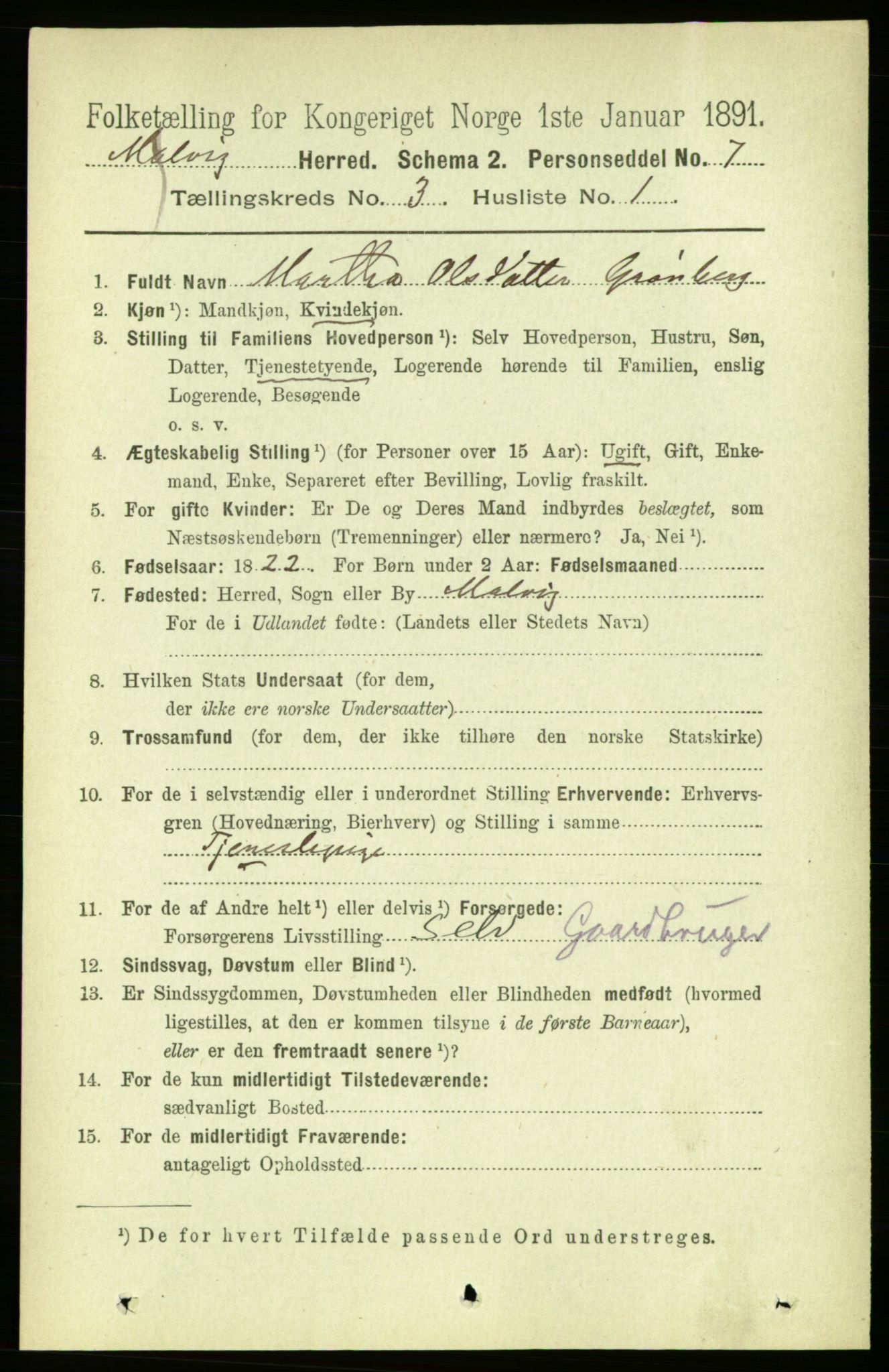 RA, 1891 census for 1663 Malvik, 1891, p. 1507