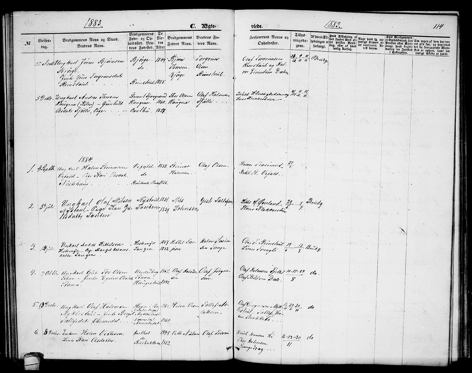 Seljord kirkebøker, AV/SAKO-A-20/G/Ga/L0004: Parish register (copy) no. I 4, 1873-1886, p. 114