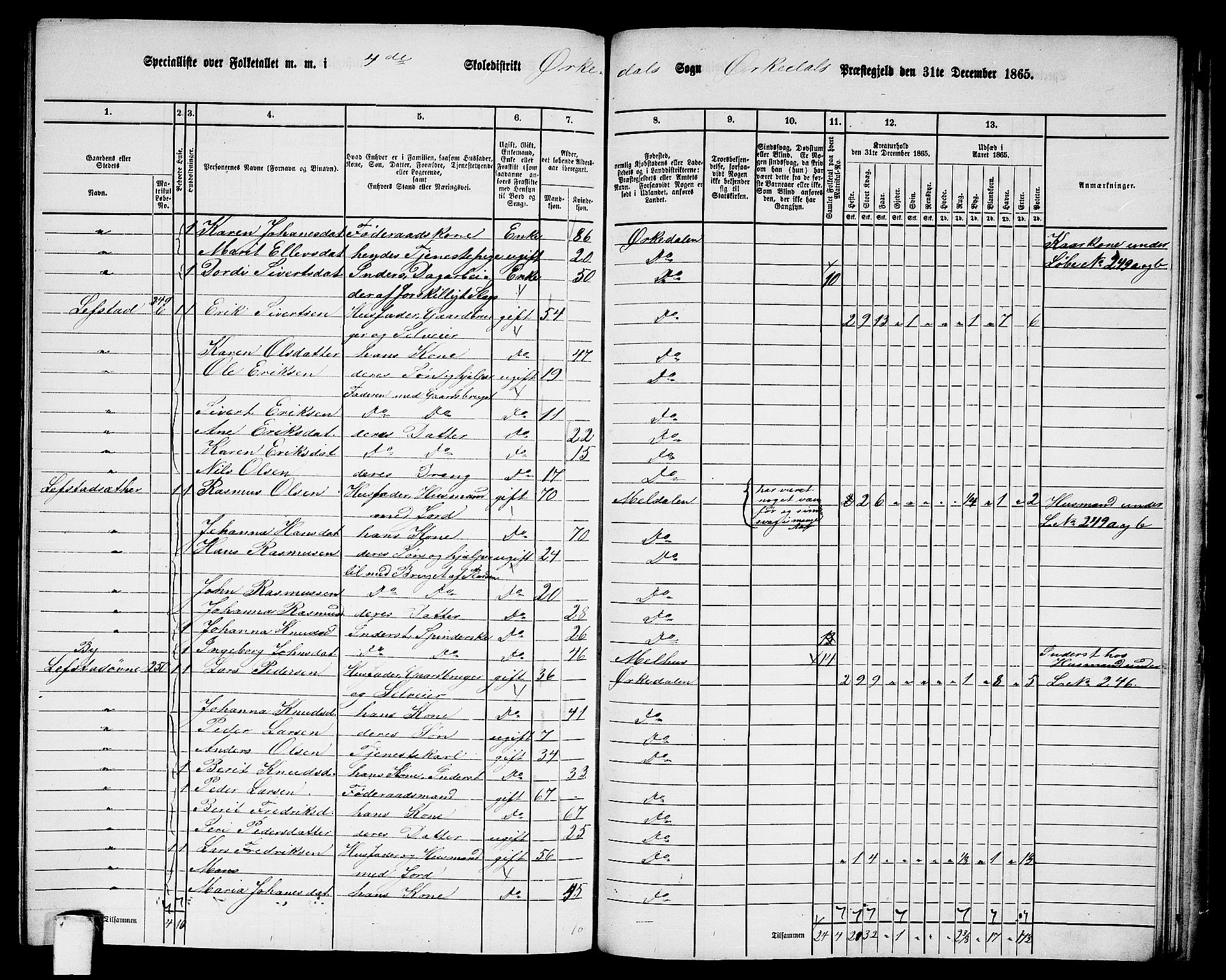 RA, 1865 census for Orkdal, 1865, p. 231