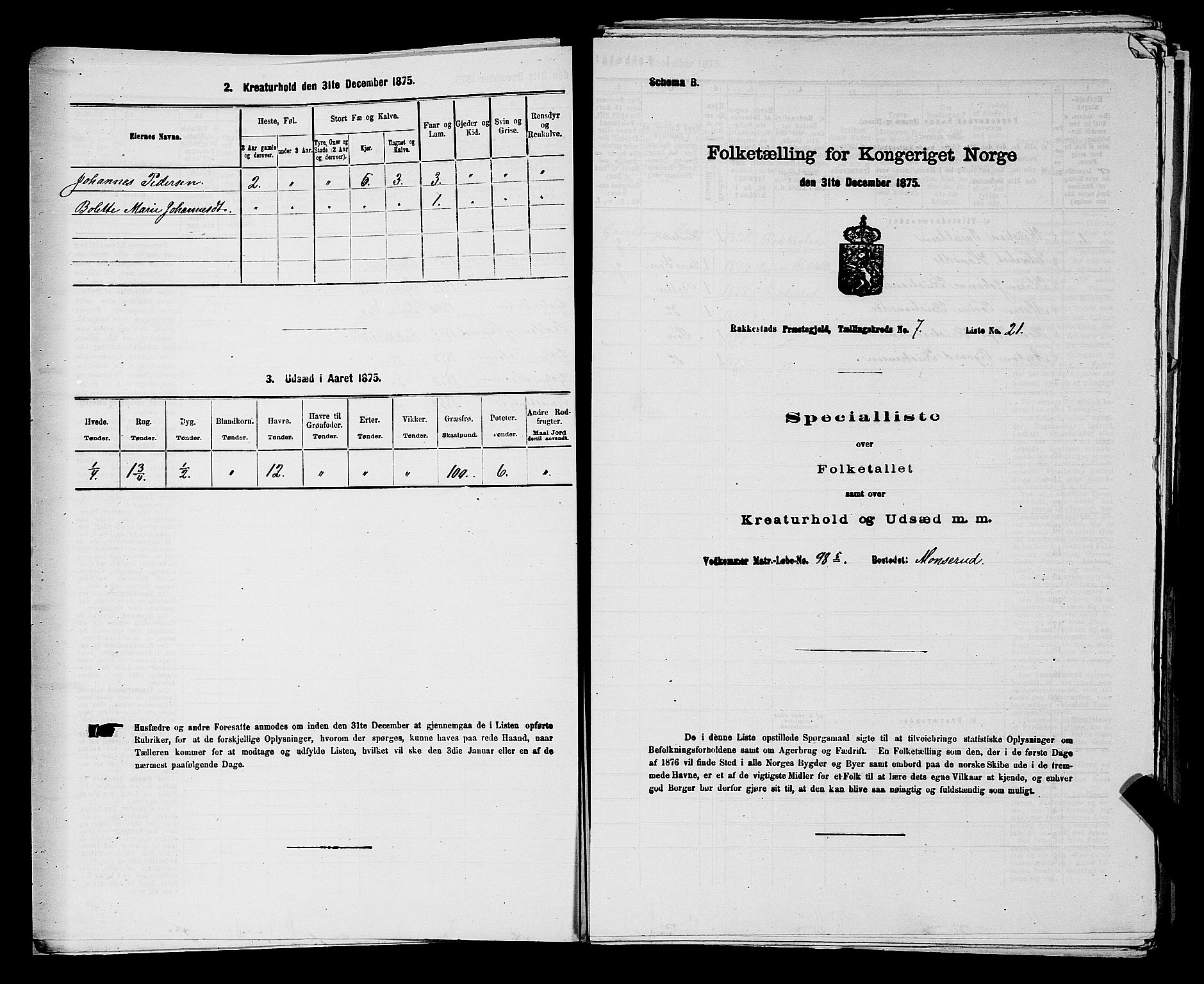 RA, 1875 census for 0128P Rakkestad, 1875, p. 742