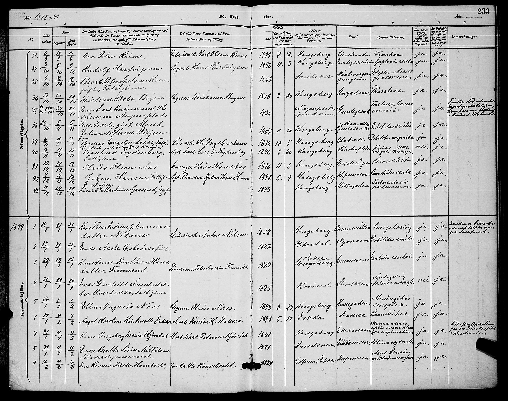 Kongsberg kirkebøker, AV/SAKO-A-22/G/Ga/L0006: Parish register (copy) no. 6, 1890-1901, p. 233