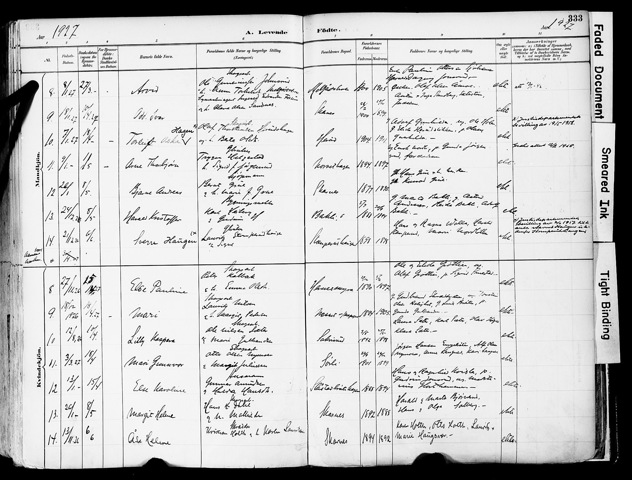 Sør-Odal prestekontor, AV/SAH-PREST-030/H/Ha/Haa/L0006: Parish register (official) no. 6, 1886-1931, p. 333